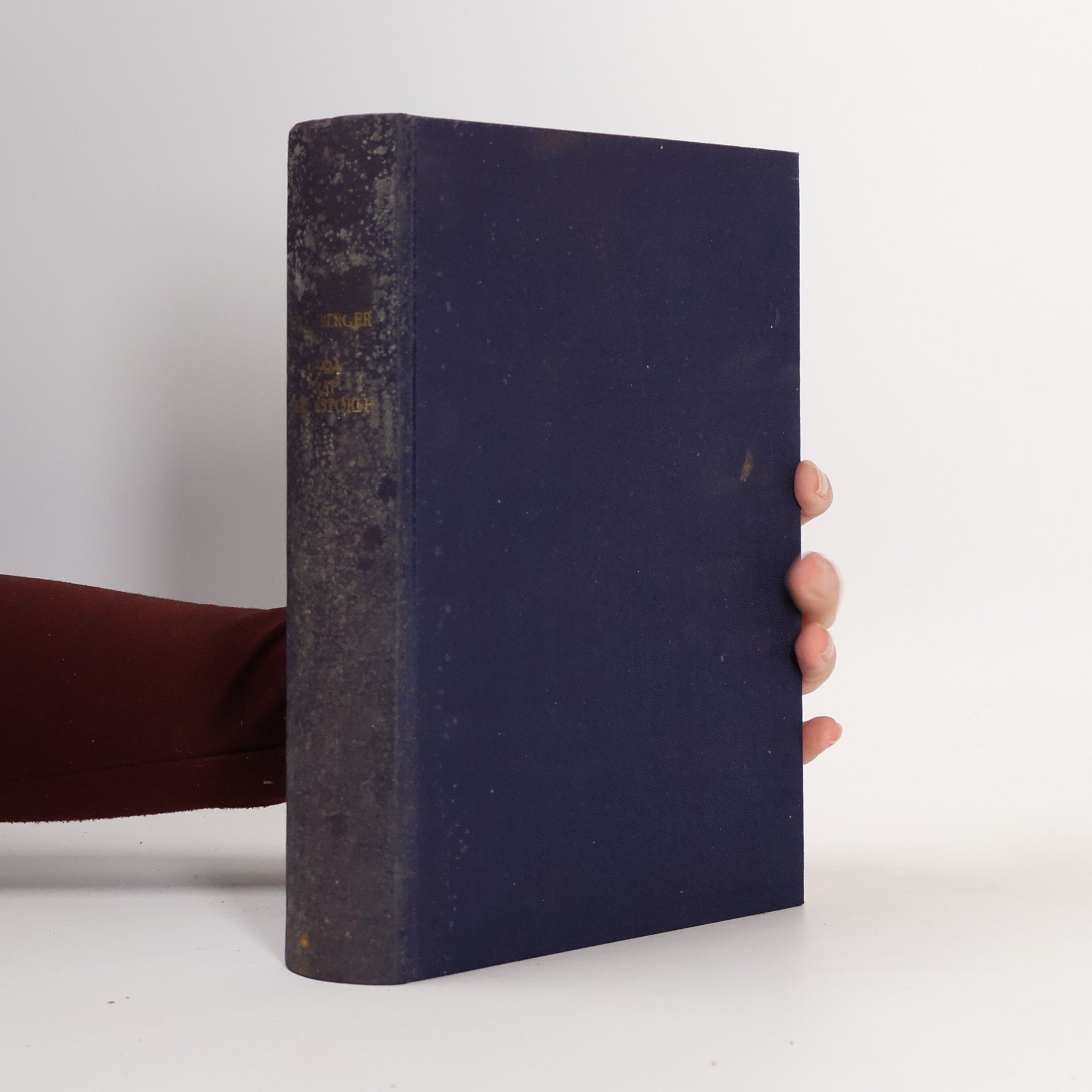 Hans Sturmberger Adam Graf Herberstorff