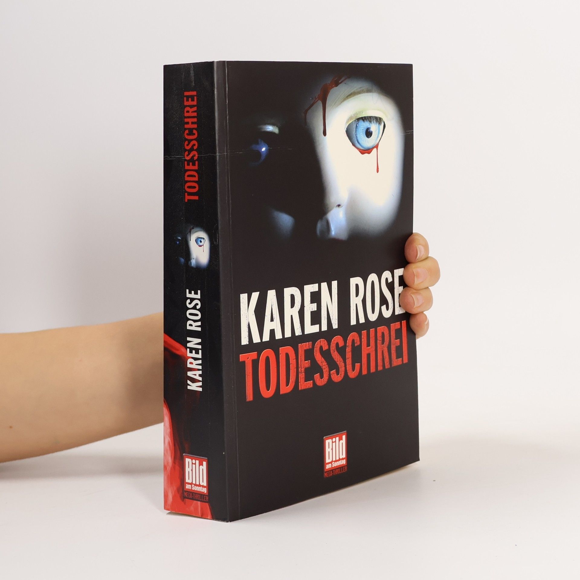 Karen Rose Todesschrei