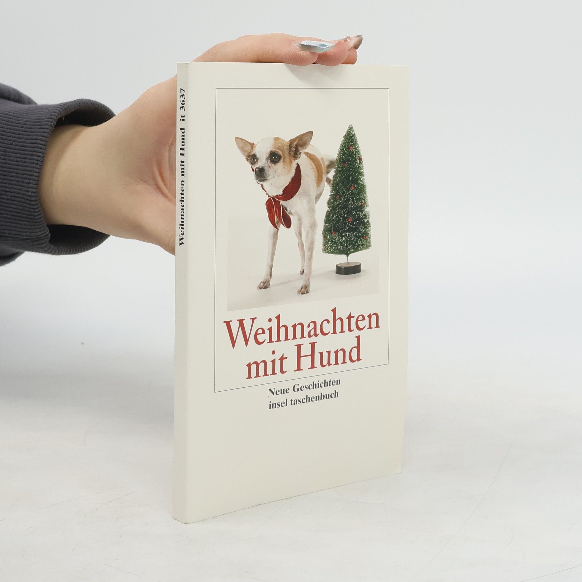Gesine Dammel Weihnachten mit Hund
