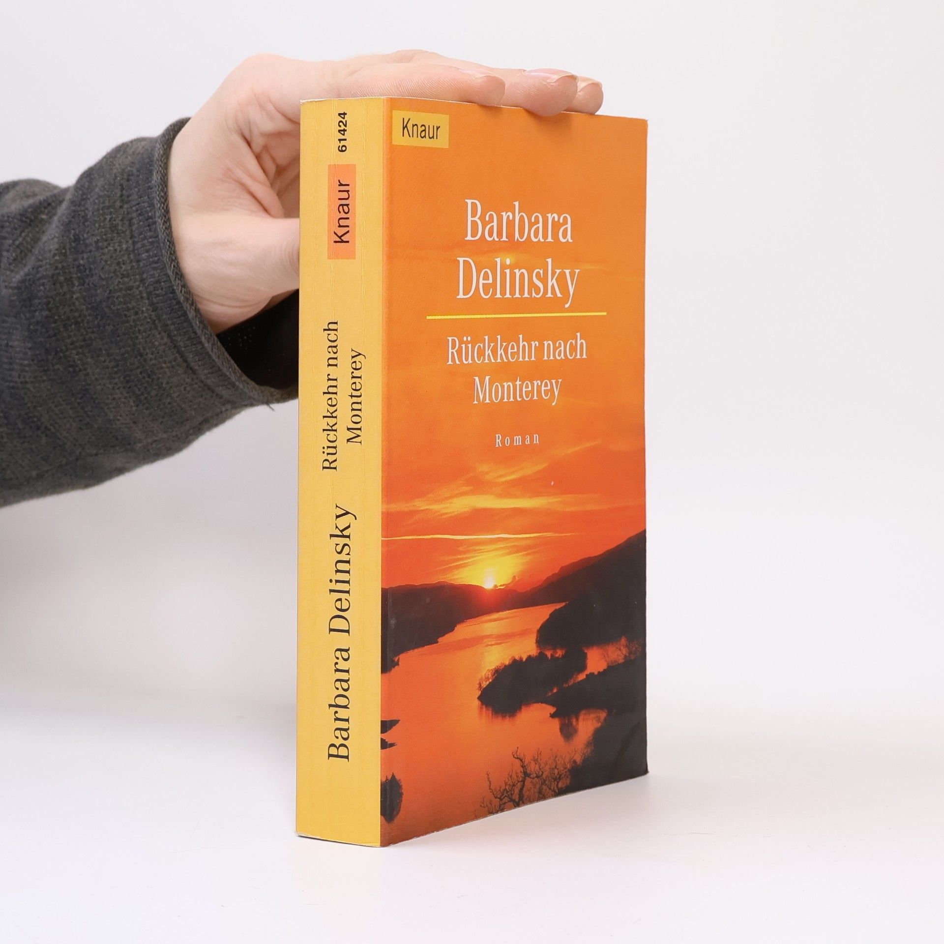 Barbara Delinsky Rückkehr nach Monterey