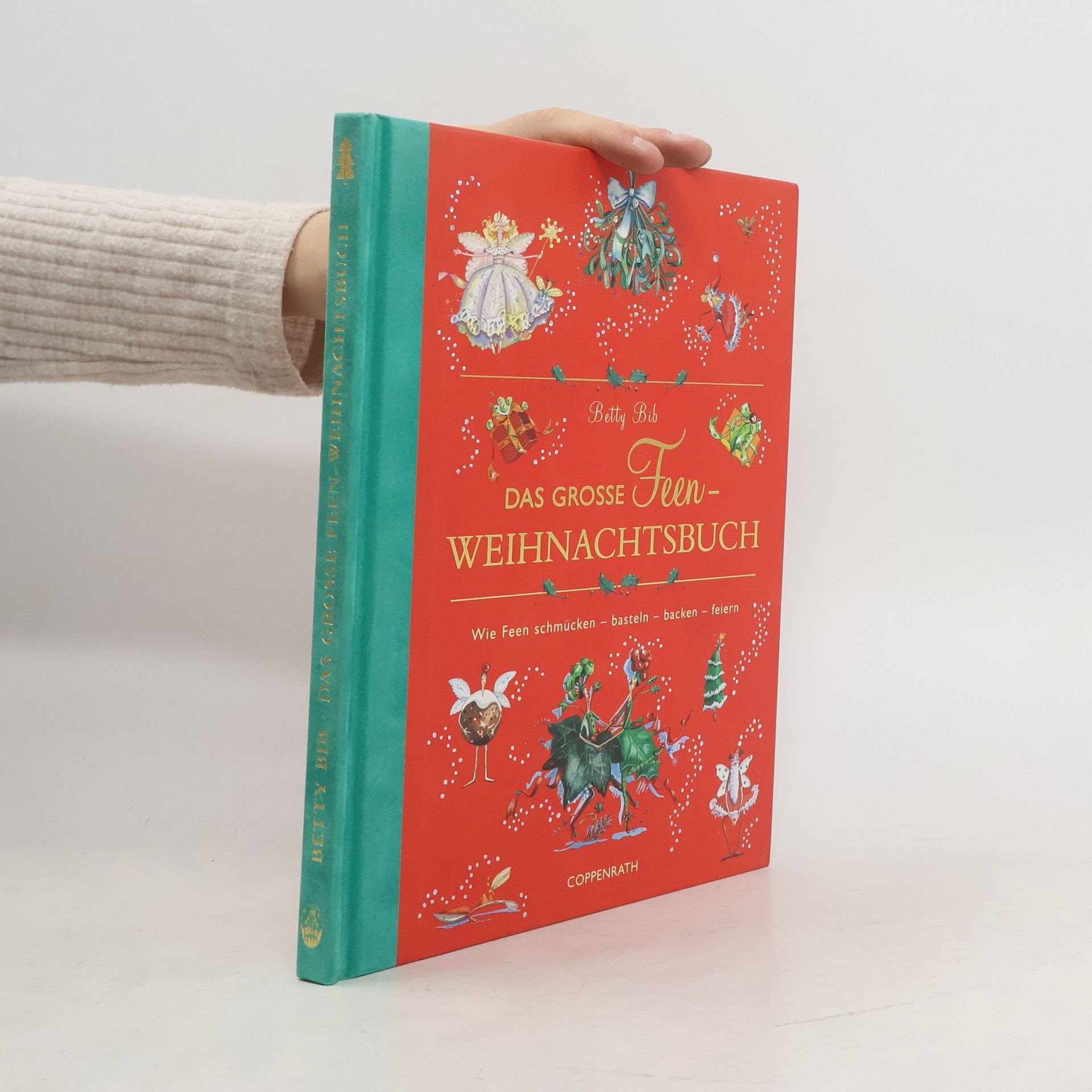 Das große Feen-Weihnachtsbuch