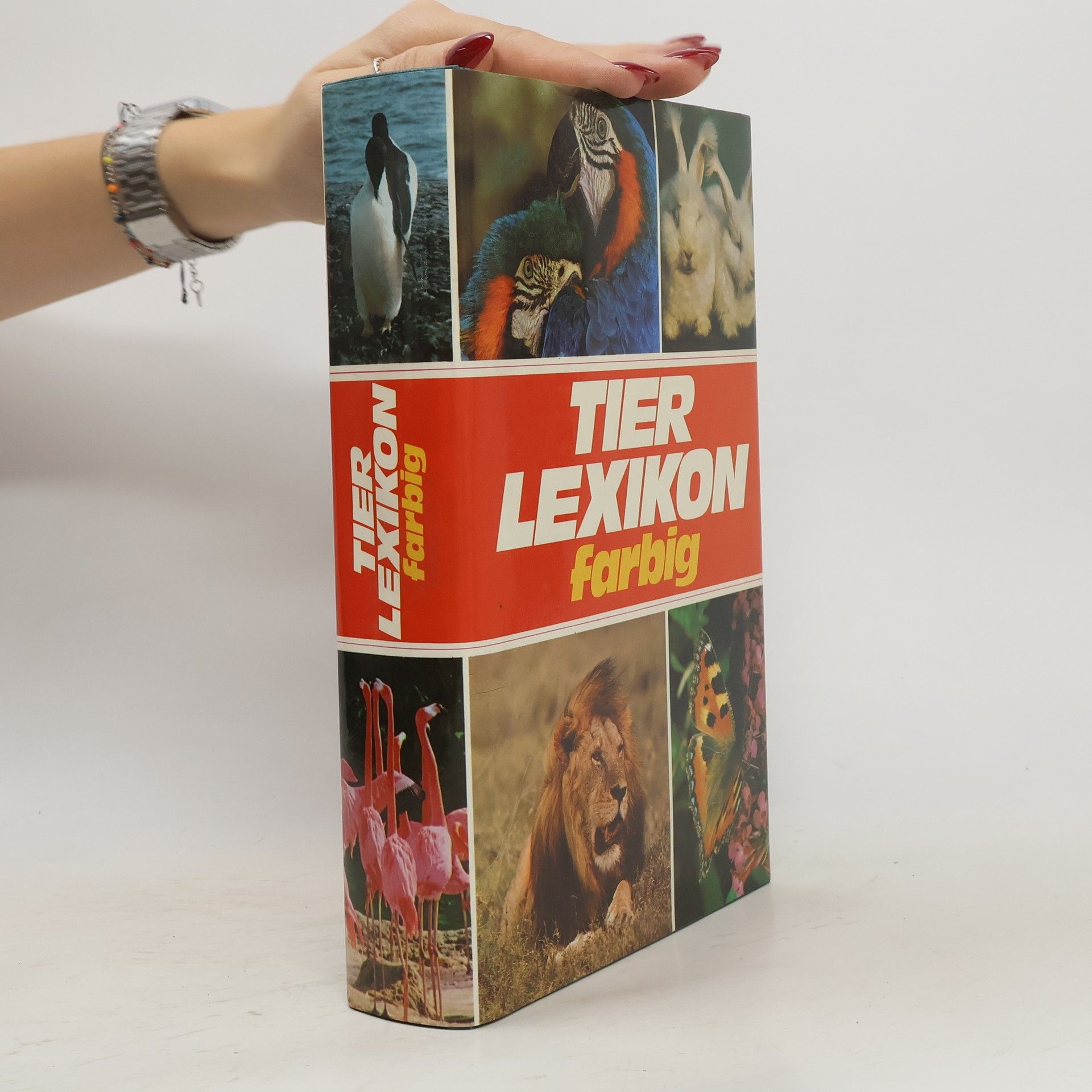 Autorenkollektiv Tier Lexikon Farbig