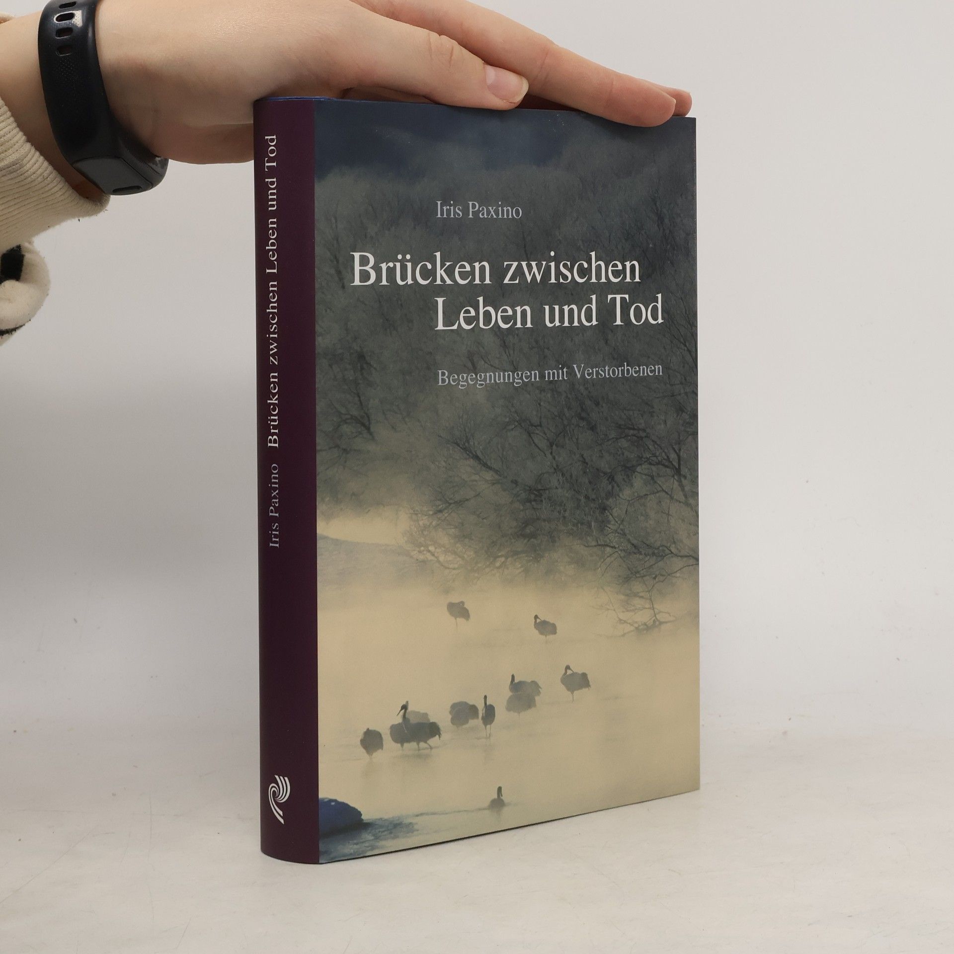 Iris Paxino Brücken zwischen Leben und Tod