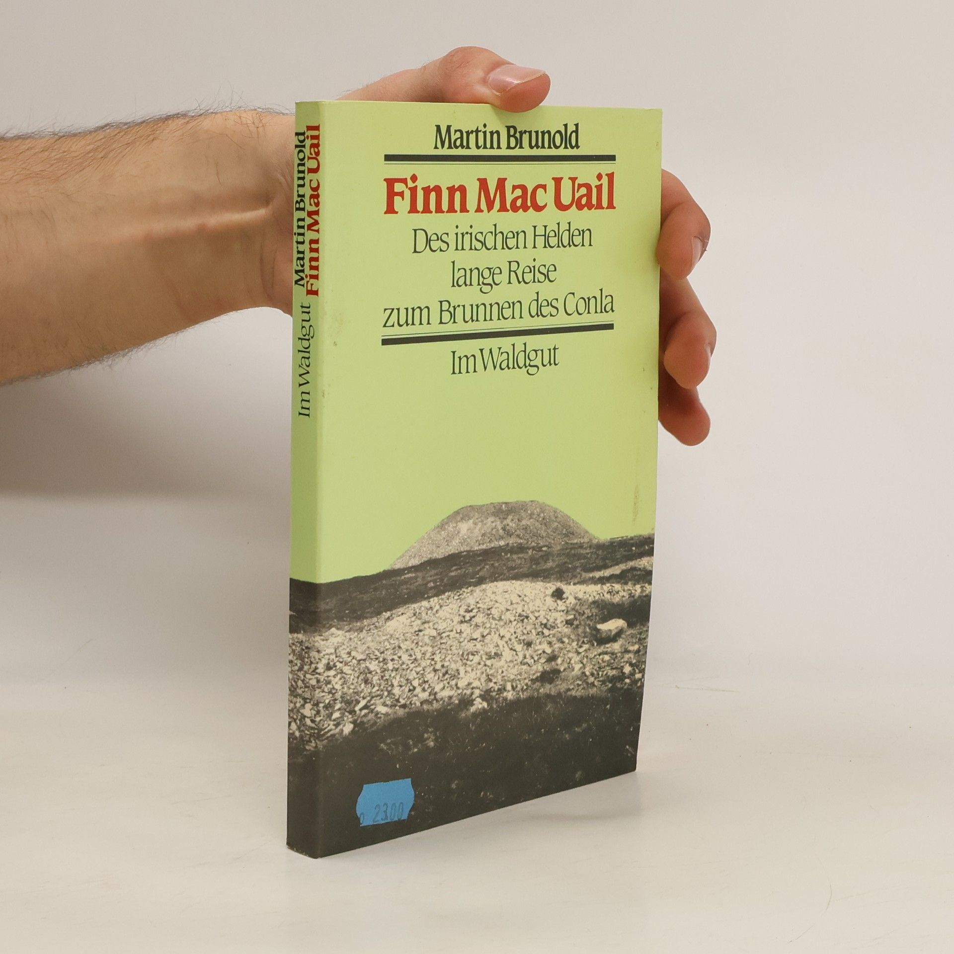 Finn Mac Uail