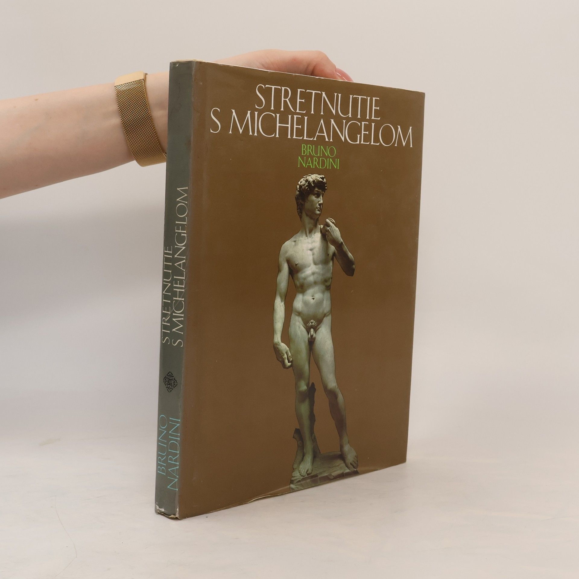 Stretnutie s Michelangelom