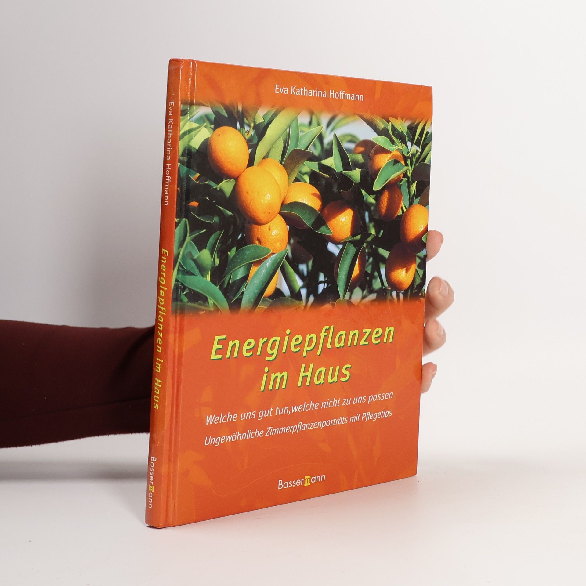 Eva Katharina Hoffmann Energiepflanzen im Haus