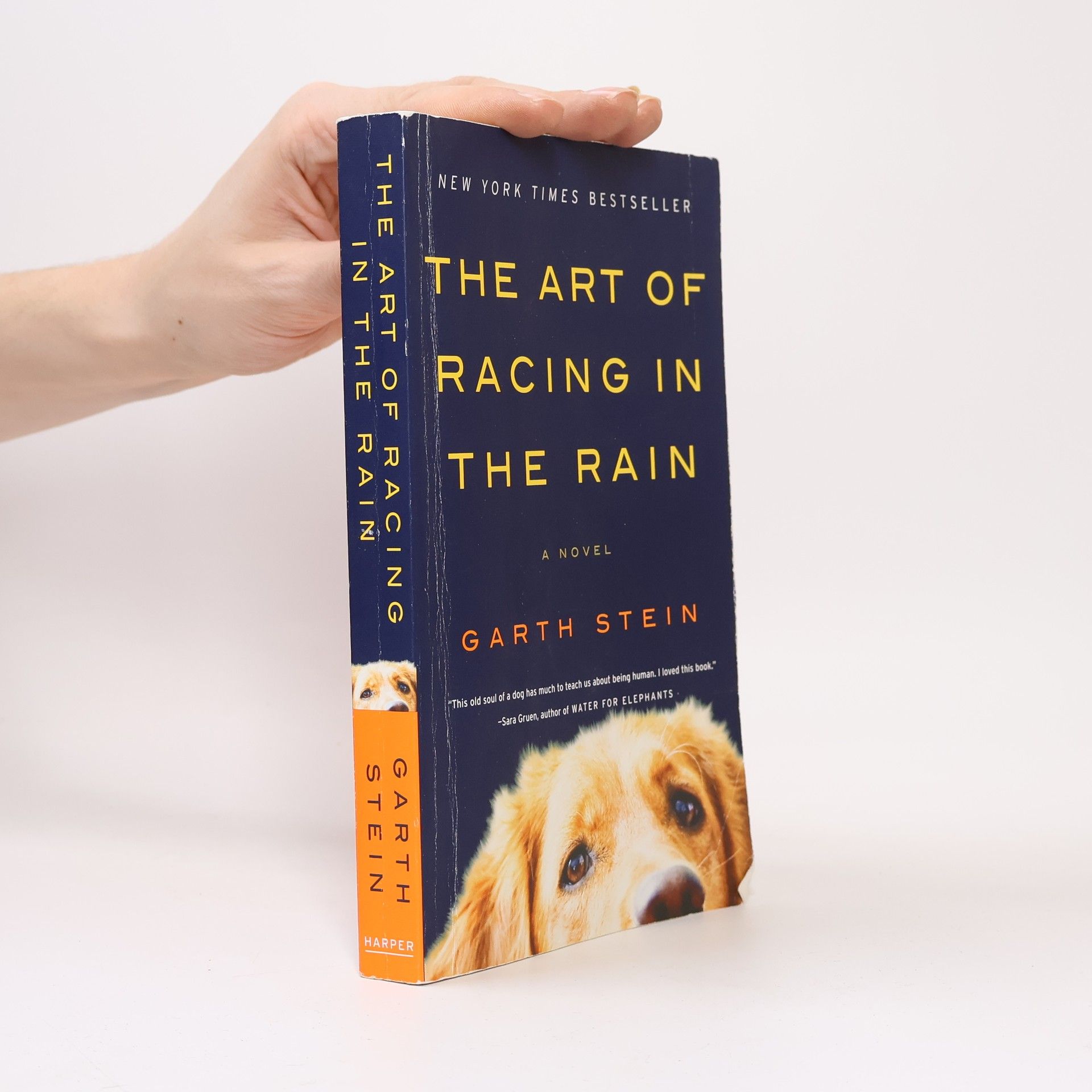 Garth Stein The Art of Racing in the Rain