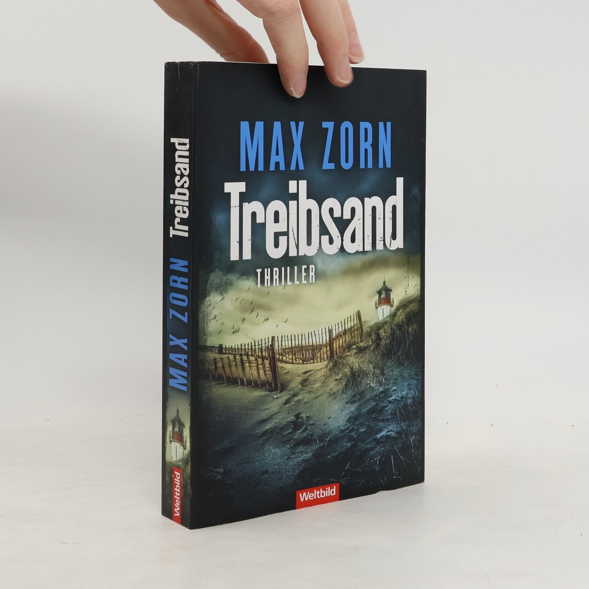 Max Zorn Treibsand
