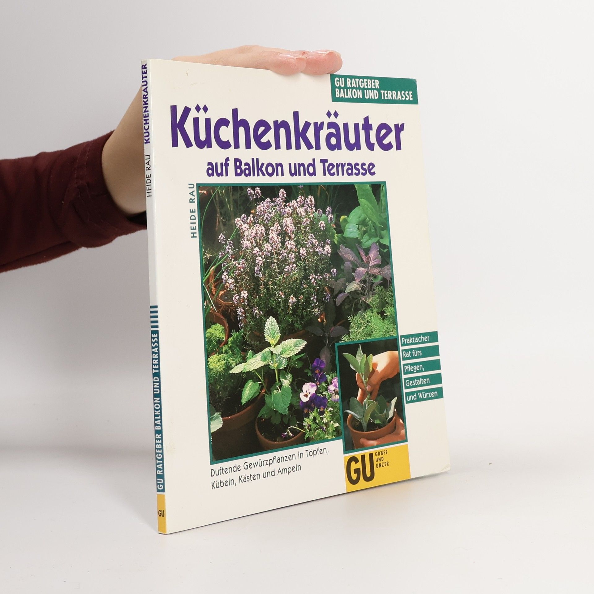 Küchenkräuter in Töpfen, Kübeln und Kästen