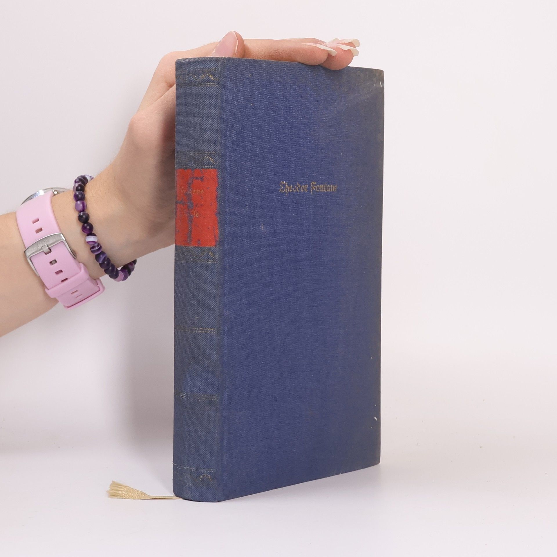 Theodor Fontane Werke in Einzelausgaben