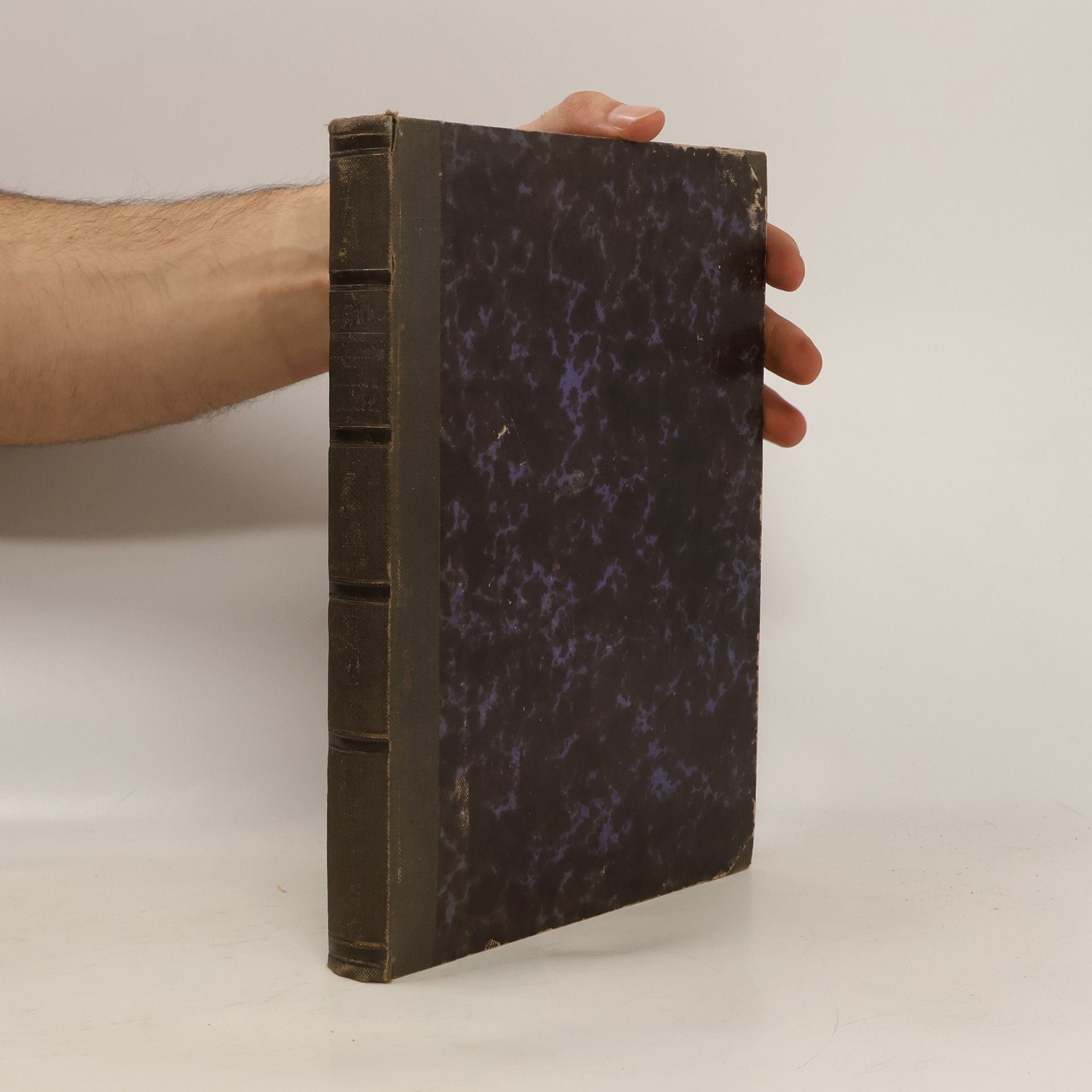 Ignaz Hub Deutschland's Balladen- und Romanzen-Dichter