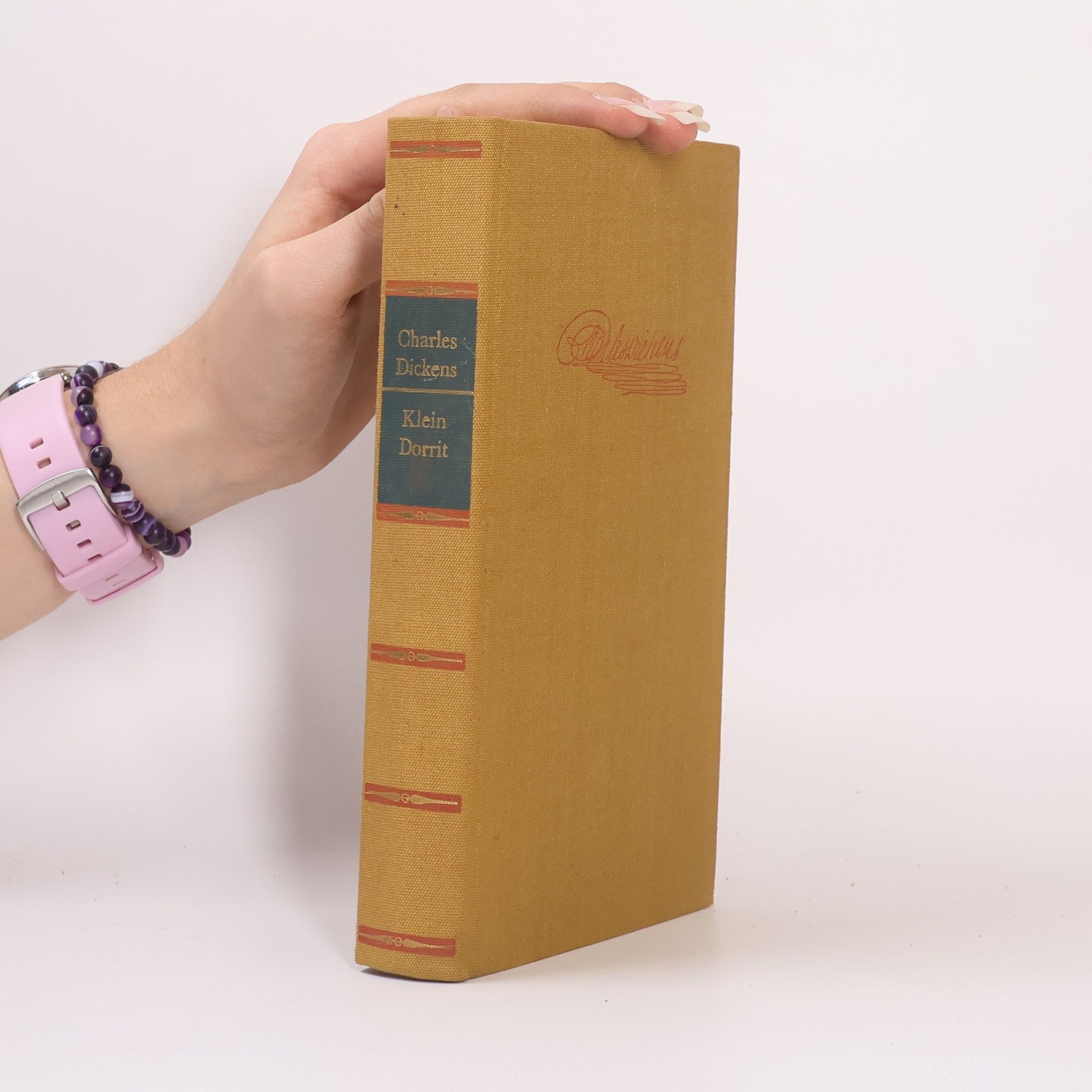 Charles Dickens Klein Dorrit 1