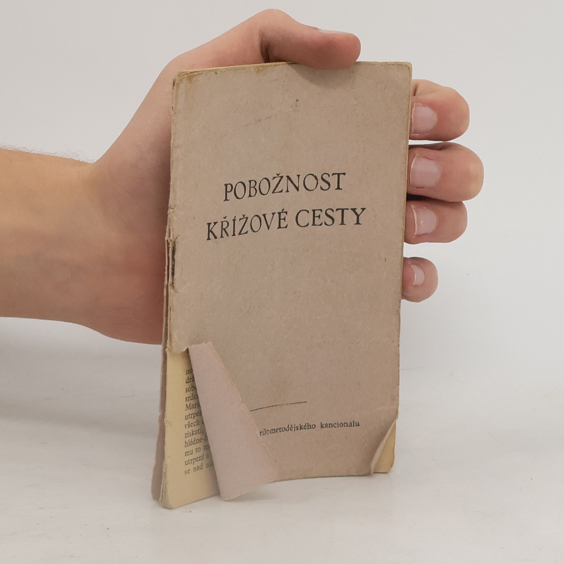 Various authors Pobožnost křížové cesty