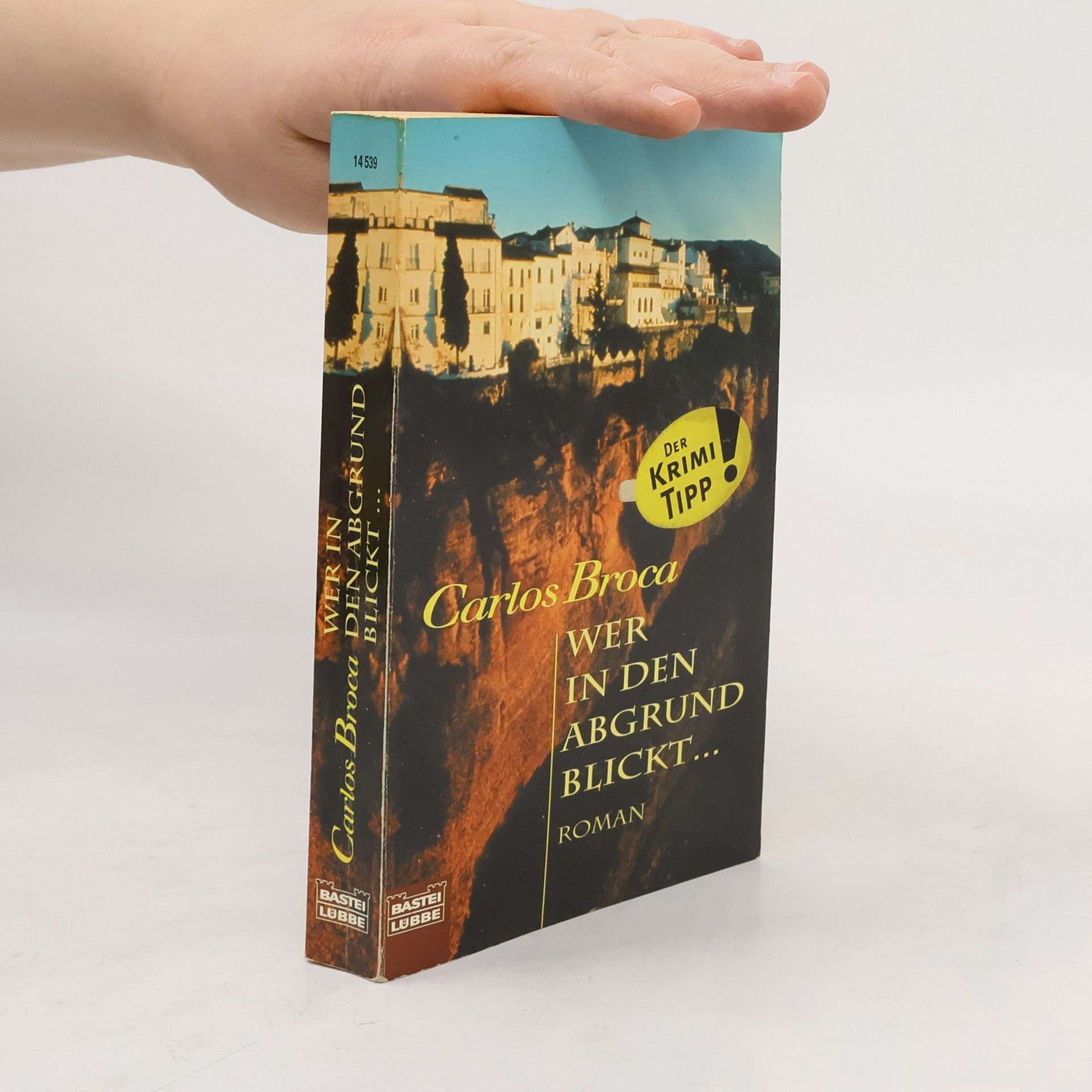Carlos Broca Wer in den Abgrund blickt . . .. Roman