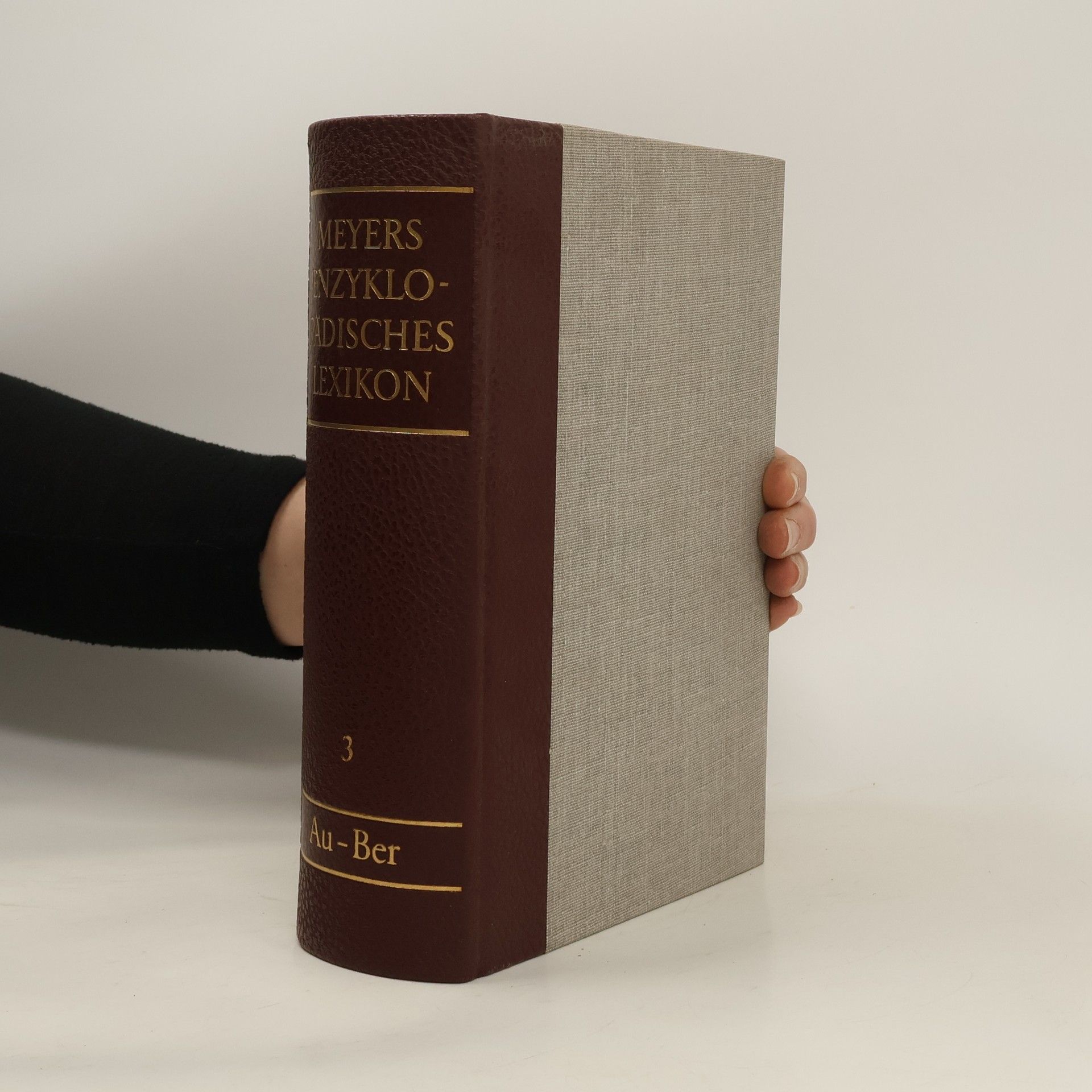 Joseph Meyers Meyers Enzyklopädisches Lexikon 3. Au-Ber