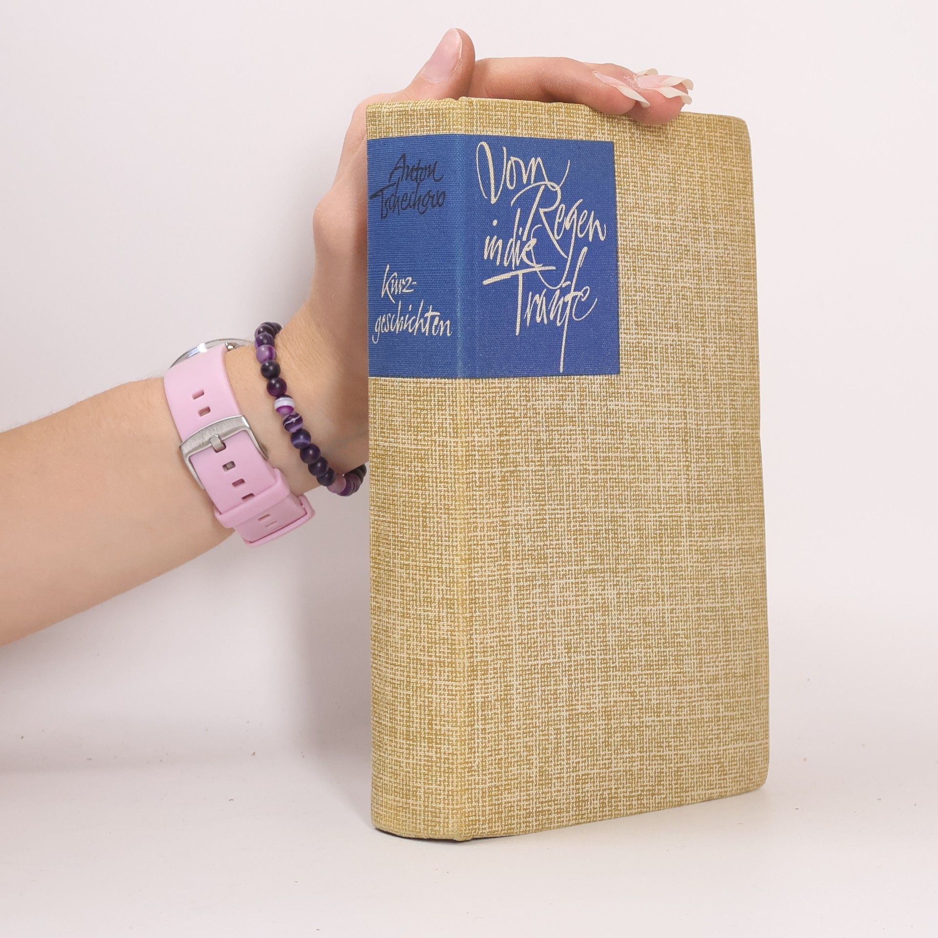 Anton Pavlovič Čechov Vom Regen in die Traufe