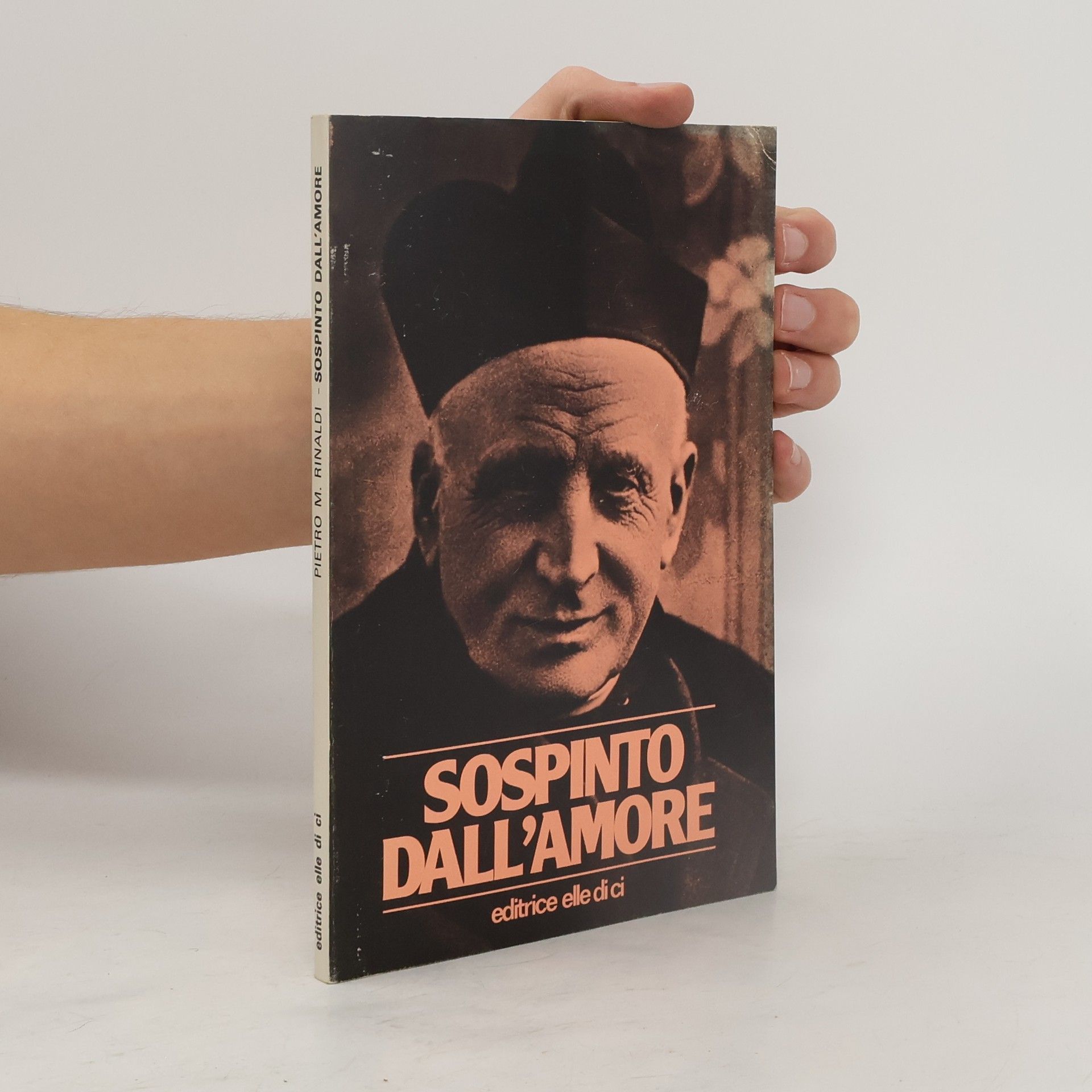 Pietro M. Rinaldi Sospinto dall'amore. Vita di don Filippo Rinaldi terzo successore di s. Giovanni Bosco