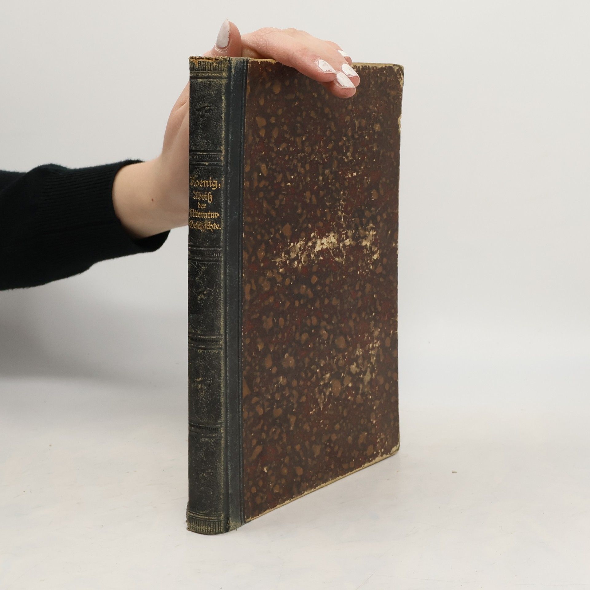 Robert Koenig Abriß der Deutschen Litteraturgeschichte