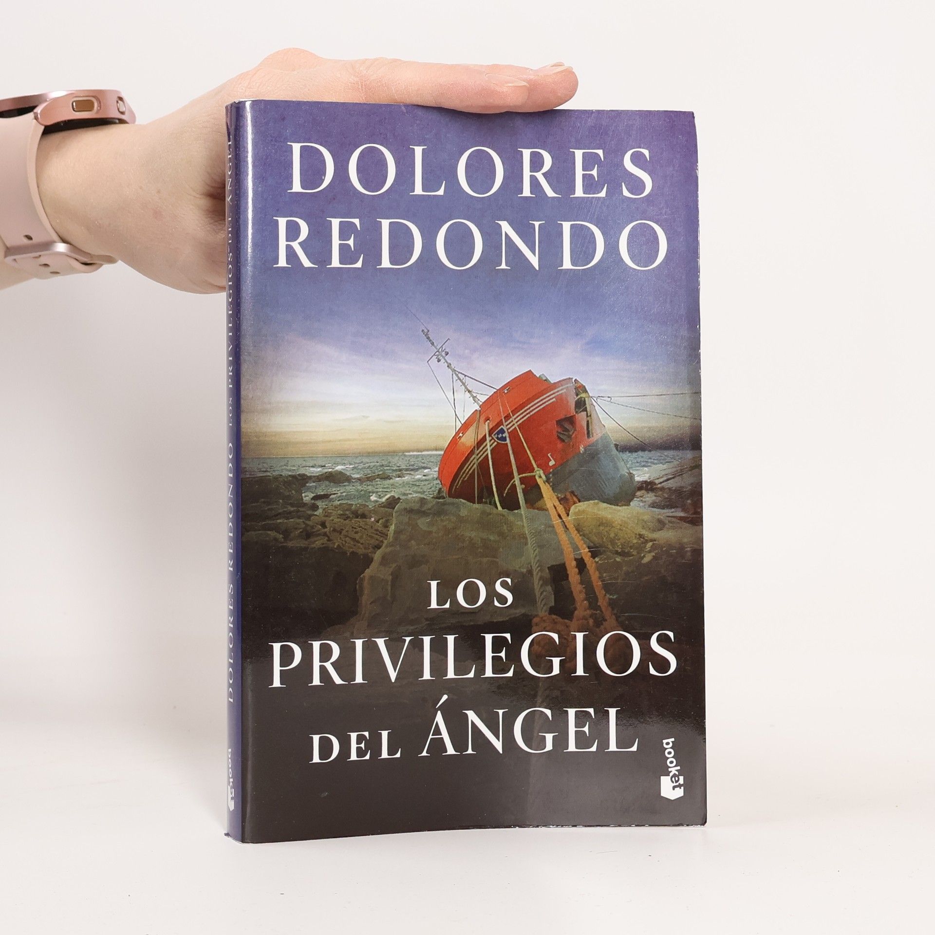 Los privilegios del ángel