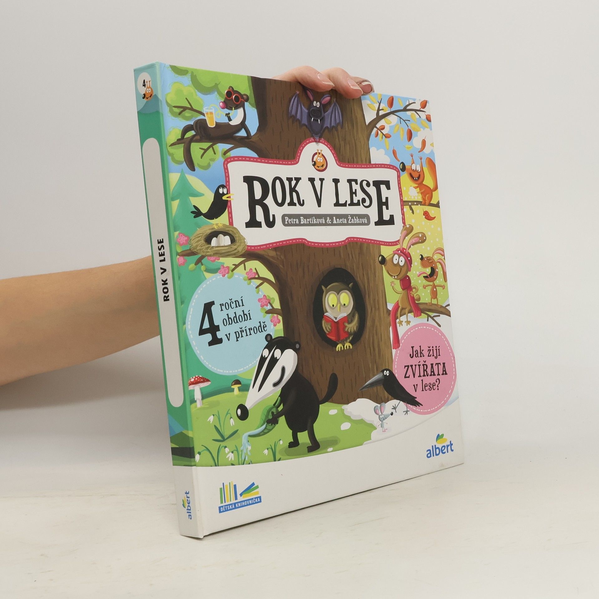 Kolektiv autorů Rok v lese