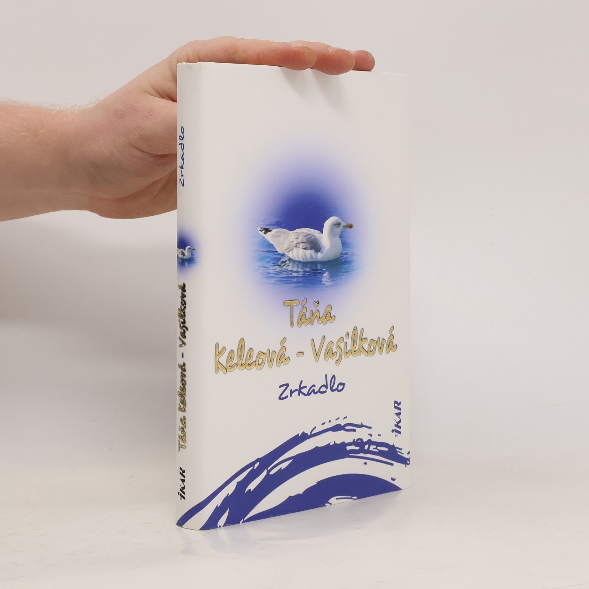 Táňa Keleová-Vasilková Zrkadlo