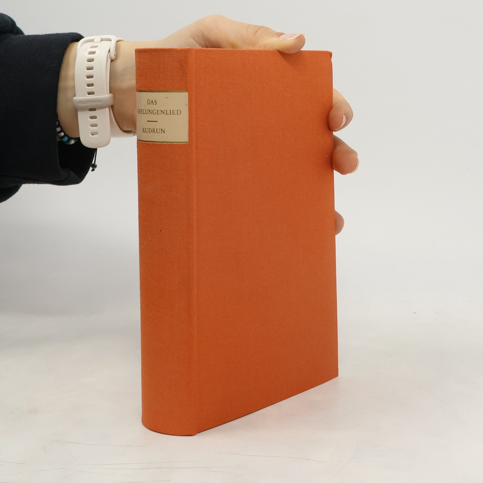 Autorenkollektiv Das Nibelungenlied