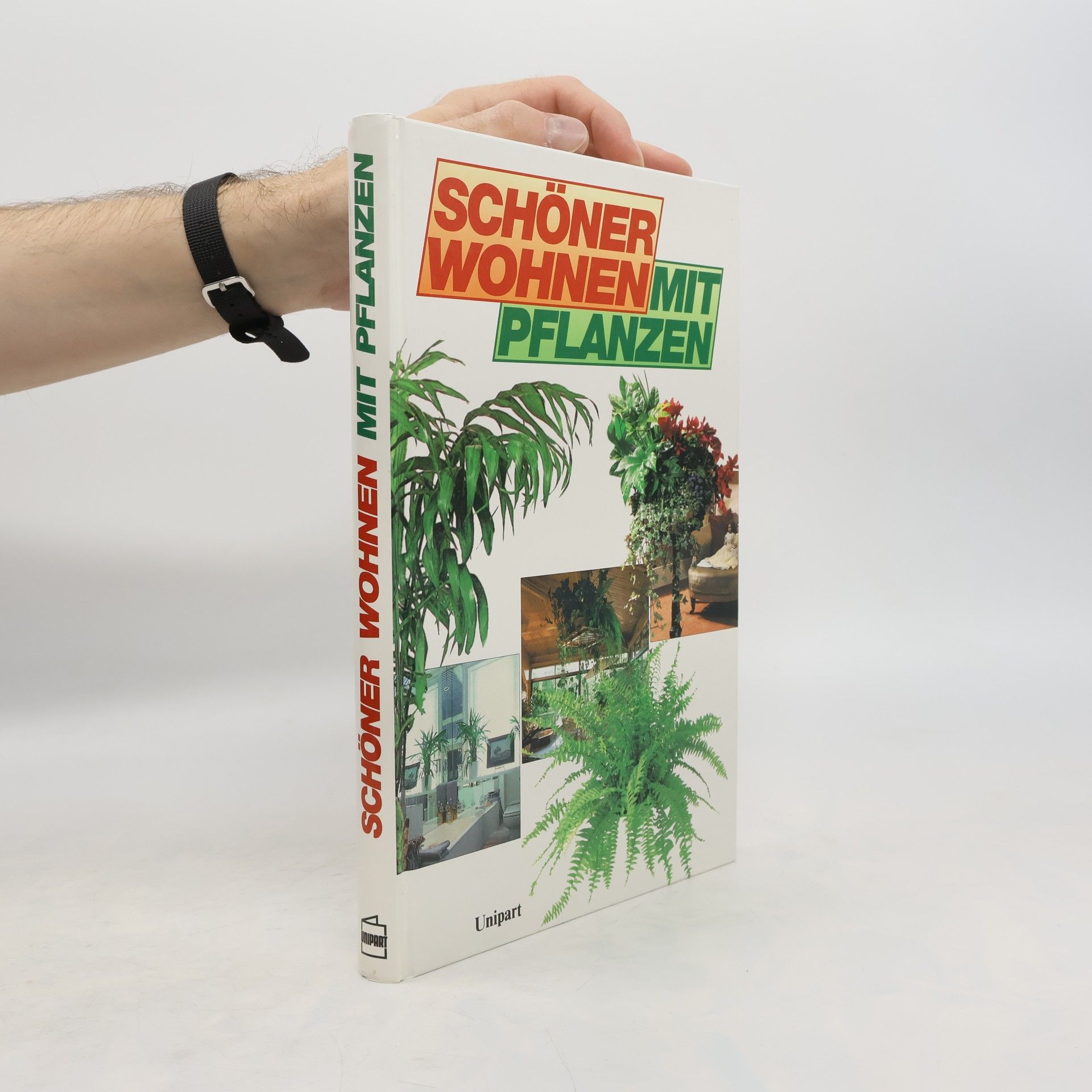 Schöner Wohnen mit Pflanzen