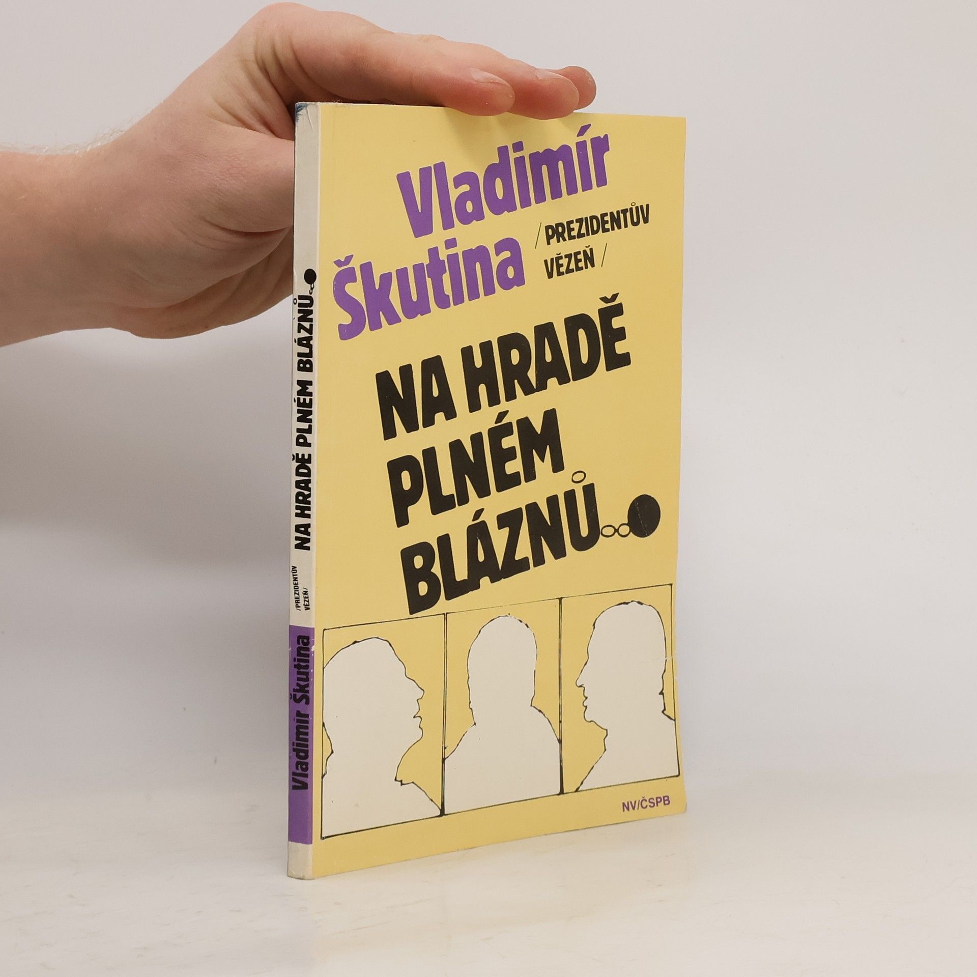 Vladimír Škutina Na hradě plném bláznů