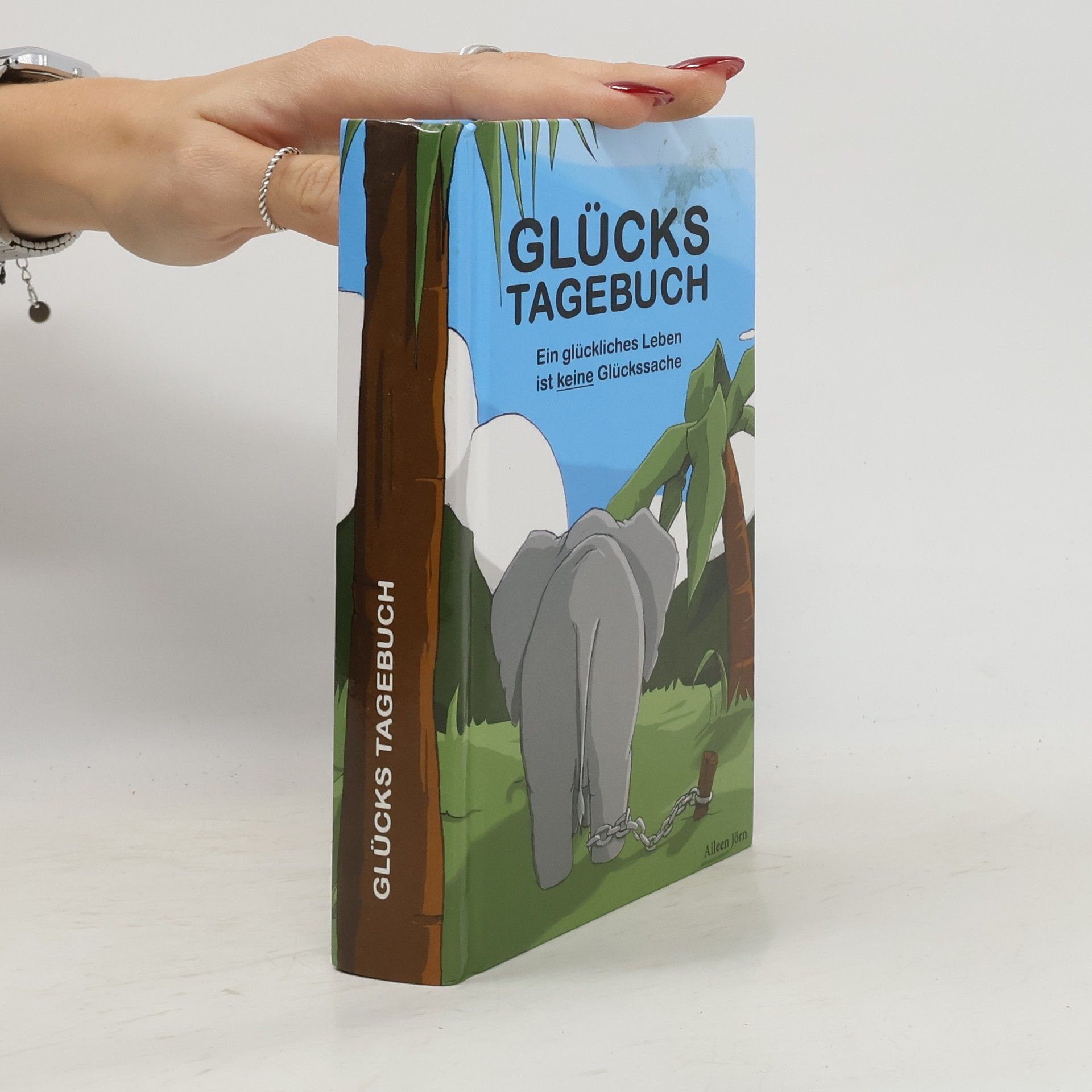 Aileen Jörn Glücks-Tagebuch