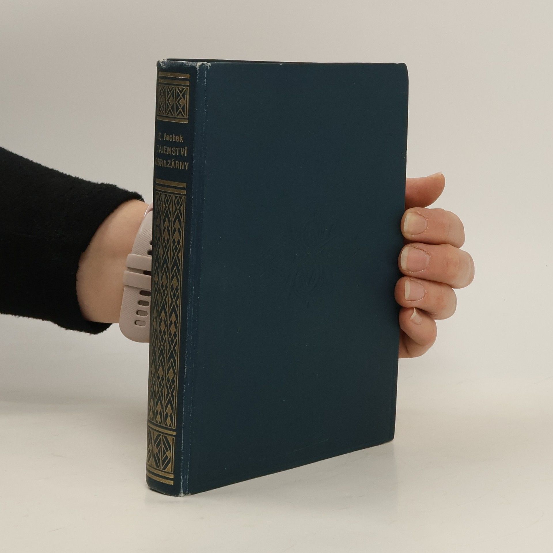 Emil Vachek Tajemství obrazárny