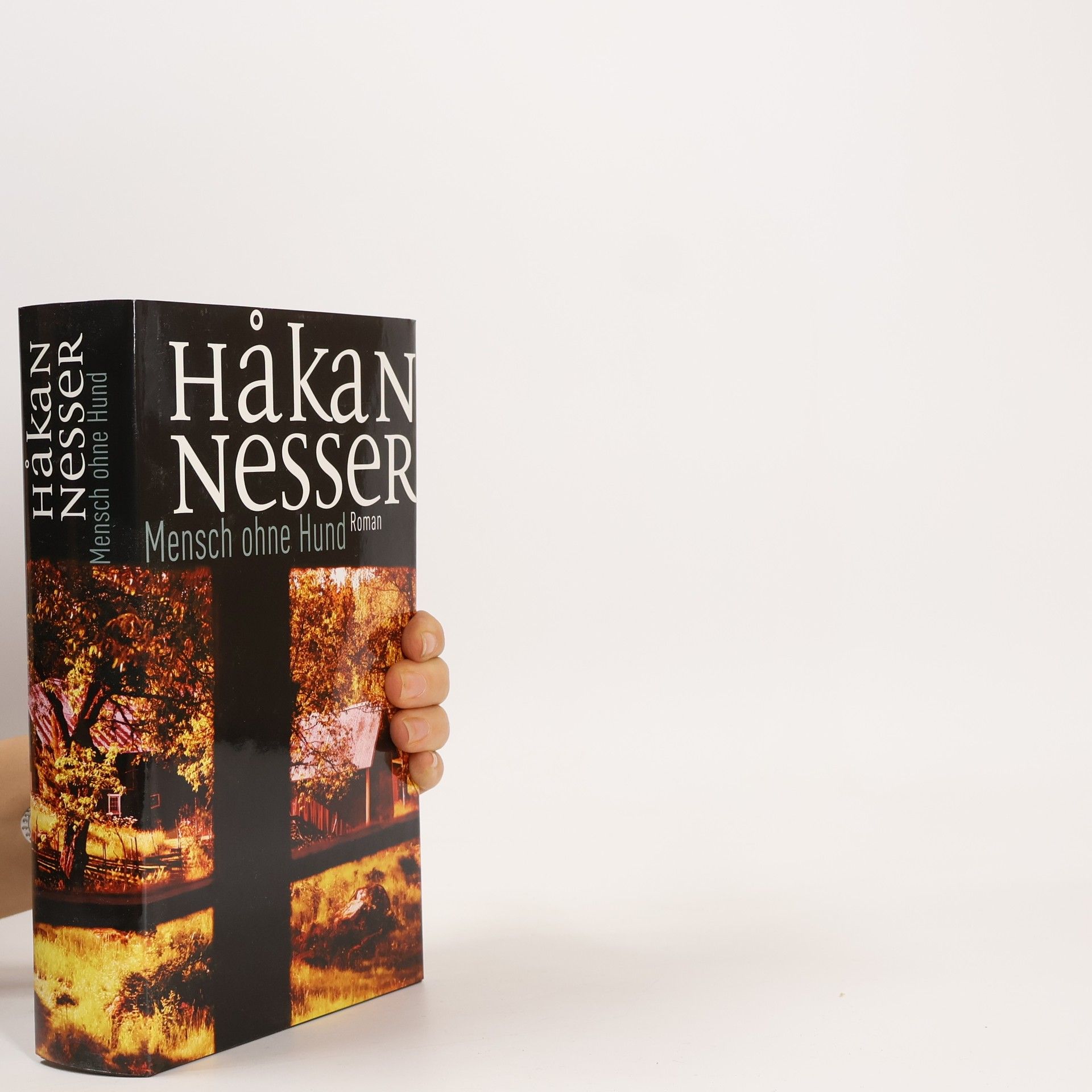 Håkan Nesser Mensch ohne Hund