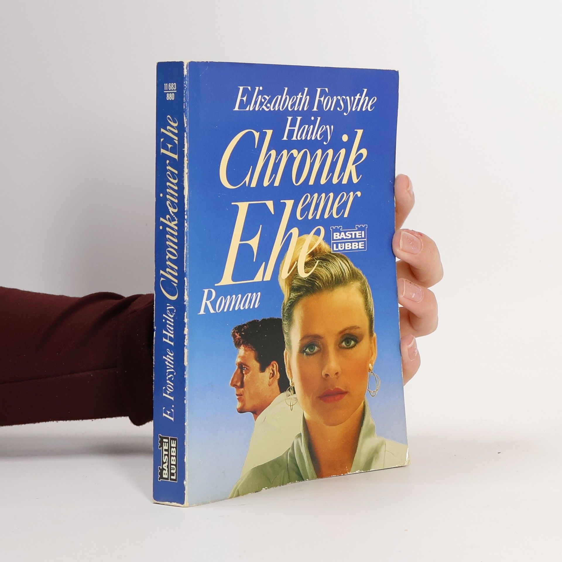 Elisabeth Forsythe Hailey Chronik einer Ehe