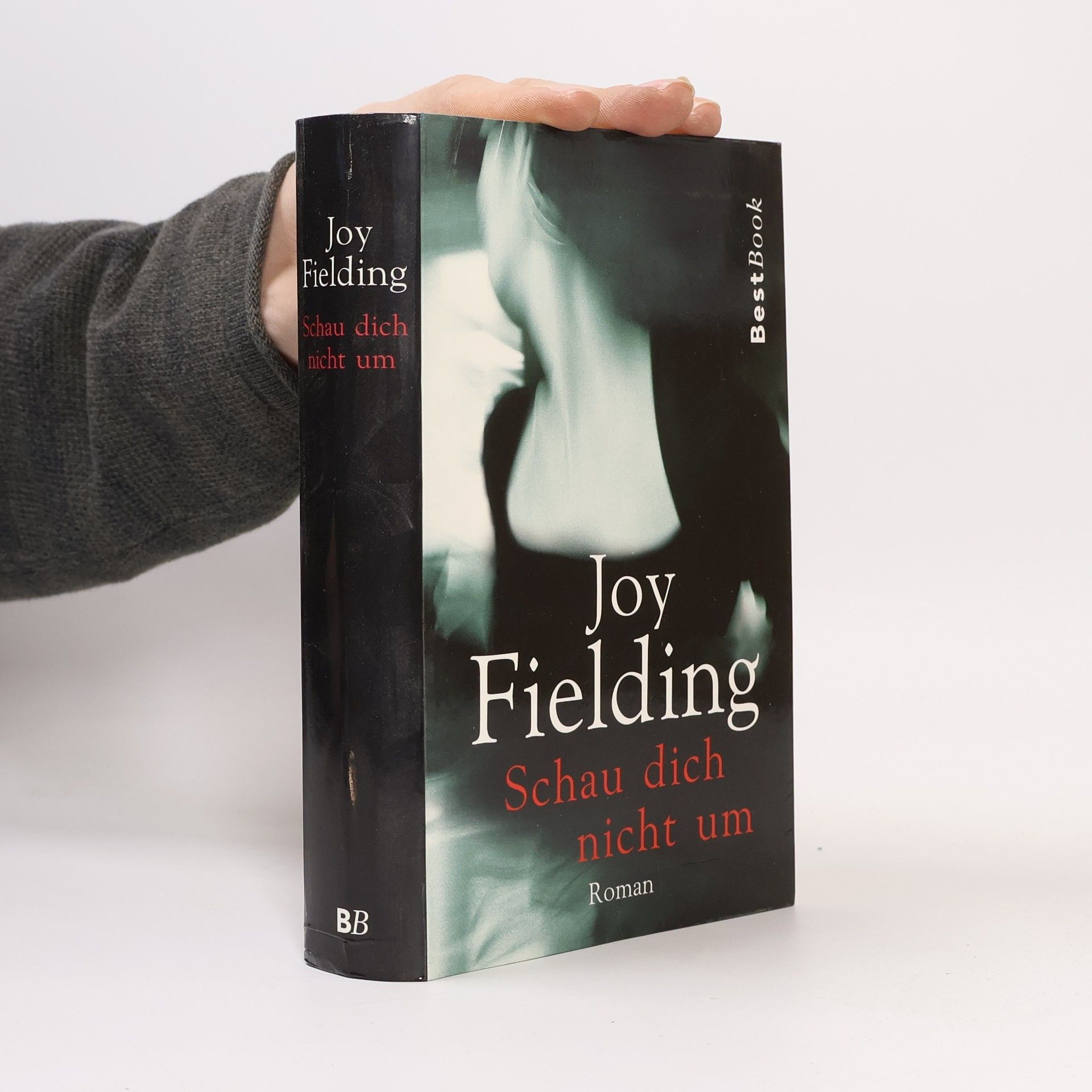 Joy Fielding Schau dich nicht um