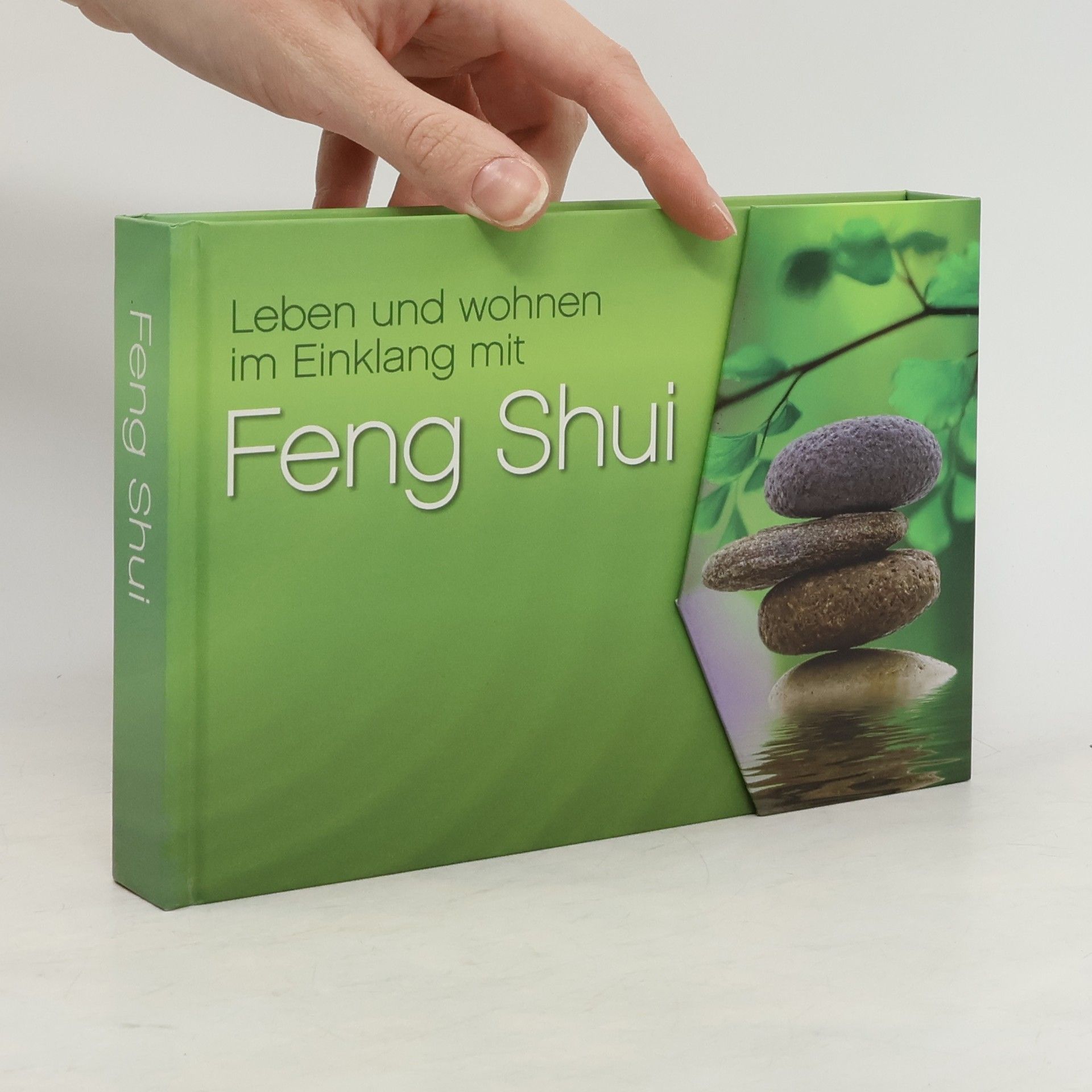 AA.VV. Feng Shui