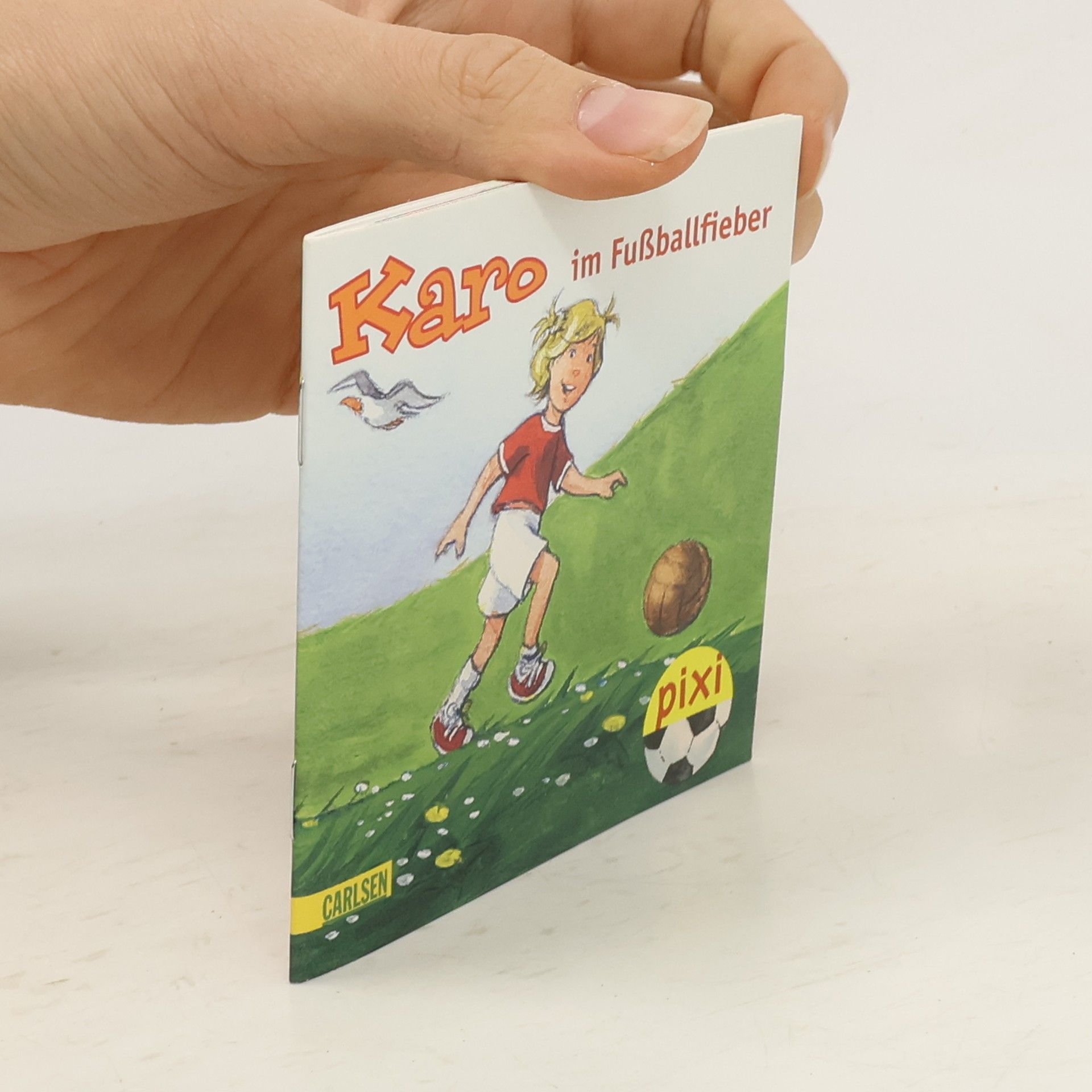 Collectif d'auteurs Karo im Fußballfieber