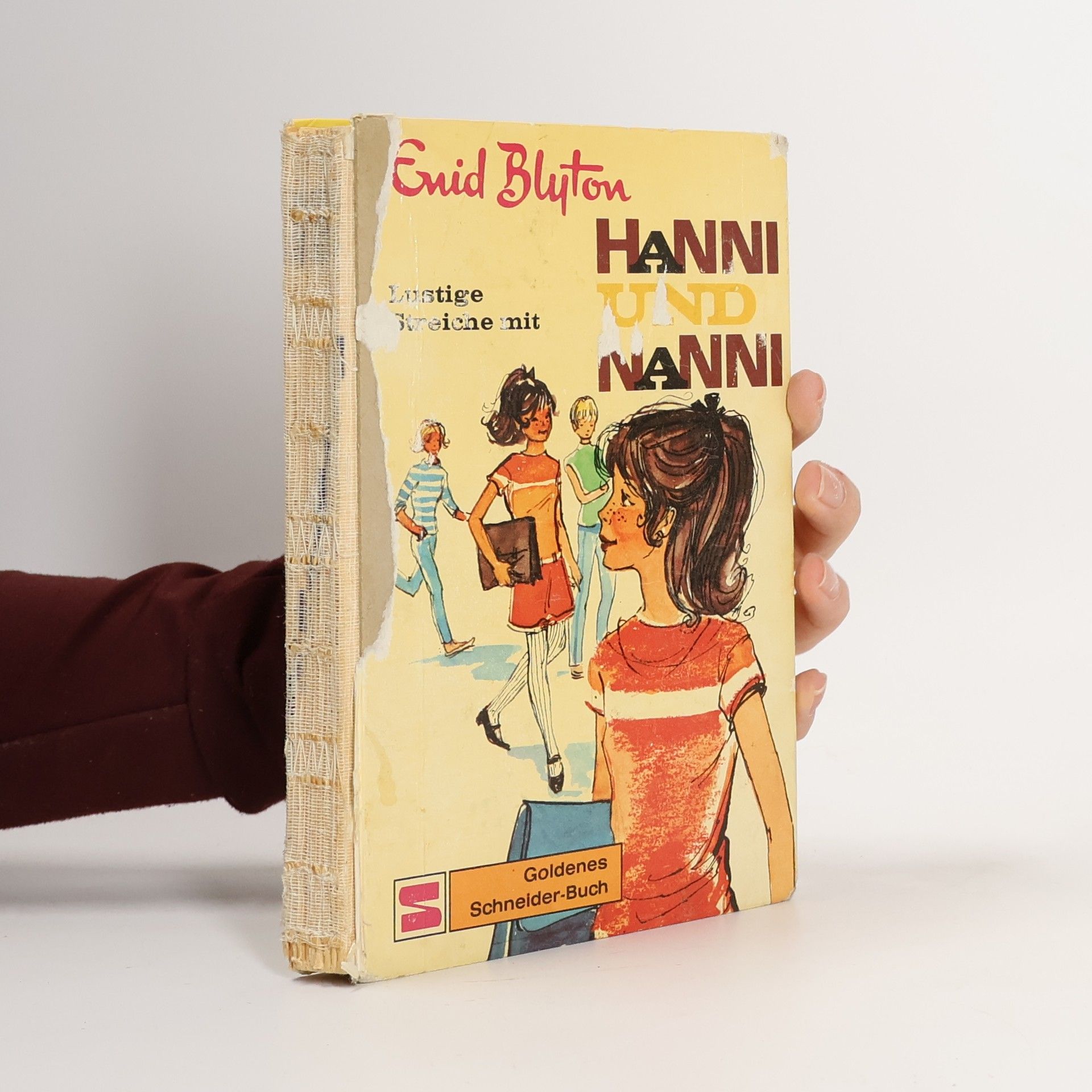 Enid Blyton Hanni und Nanni