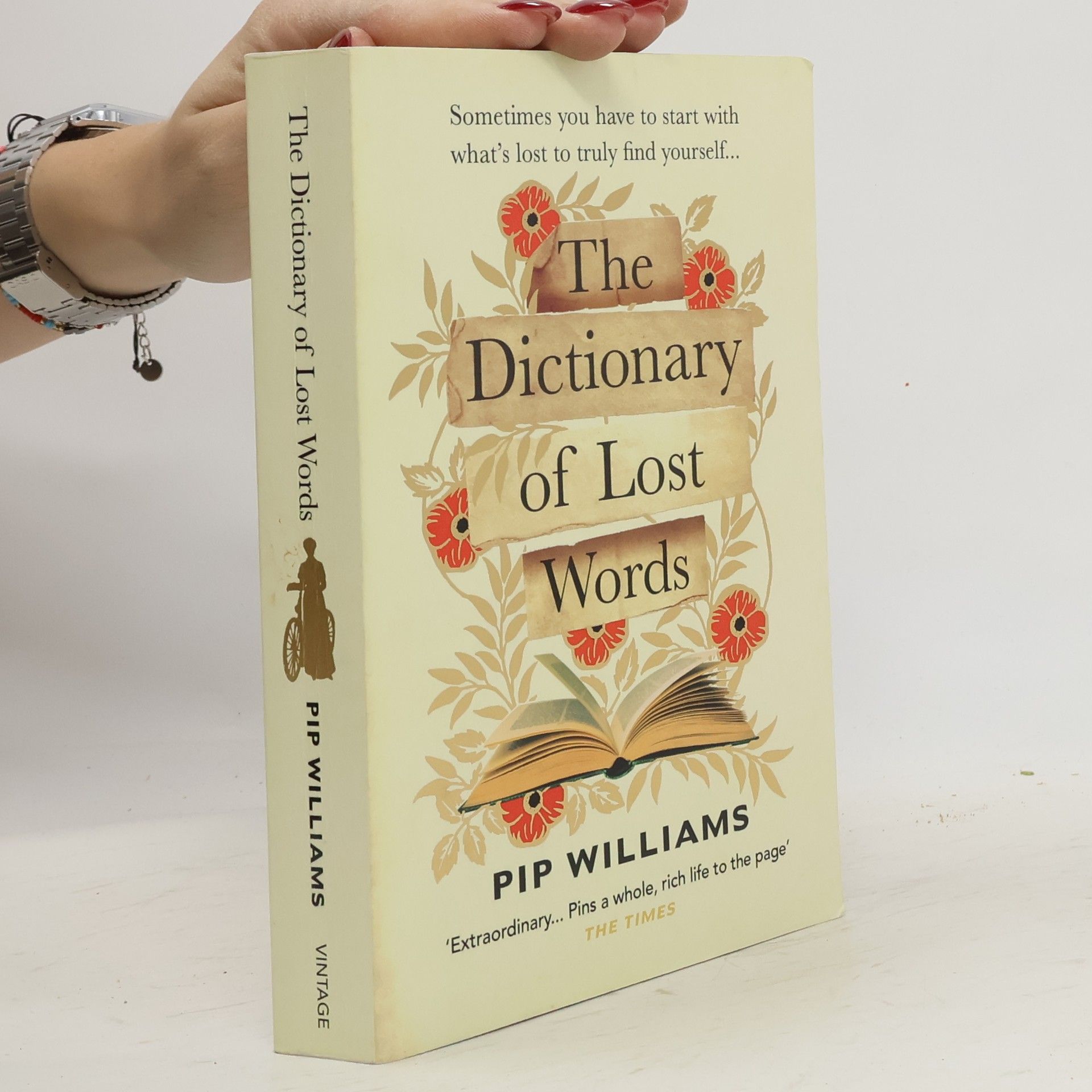 The dictionary of lost words