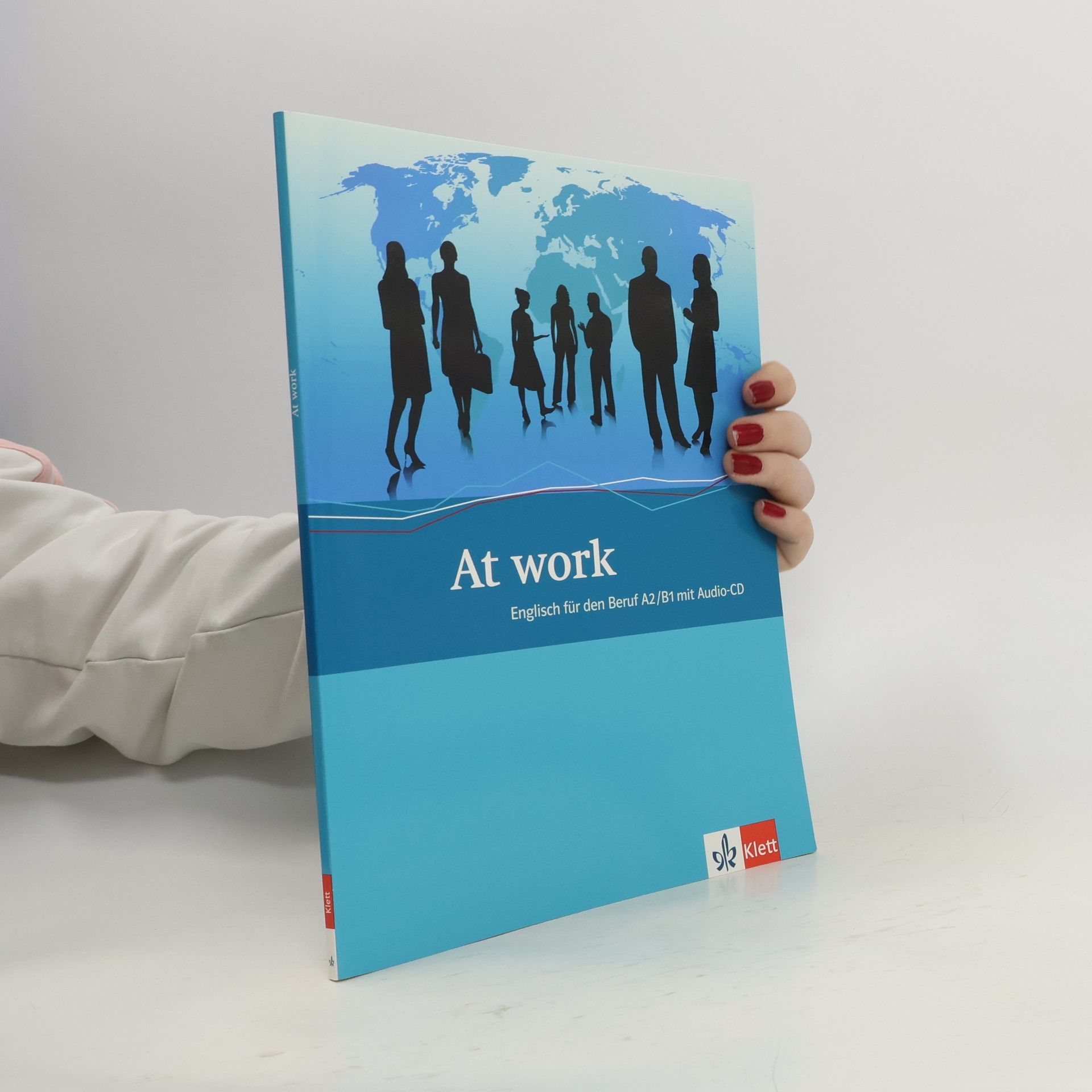 Kolektiv autorů At work