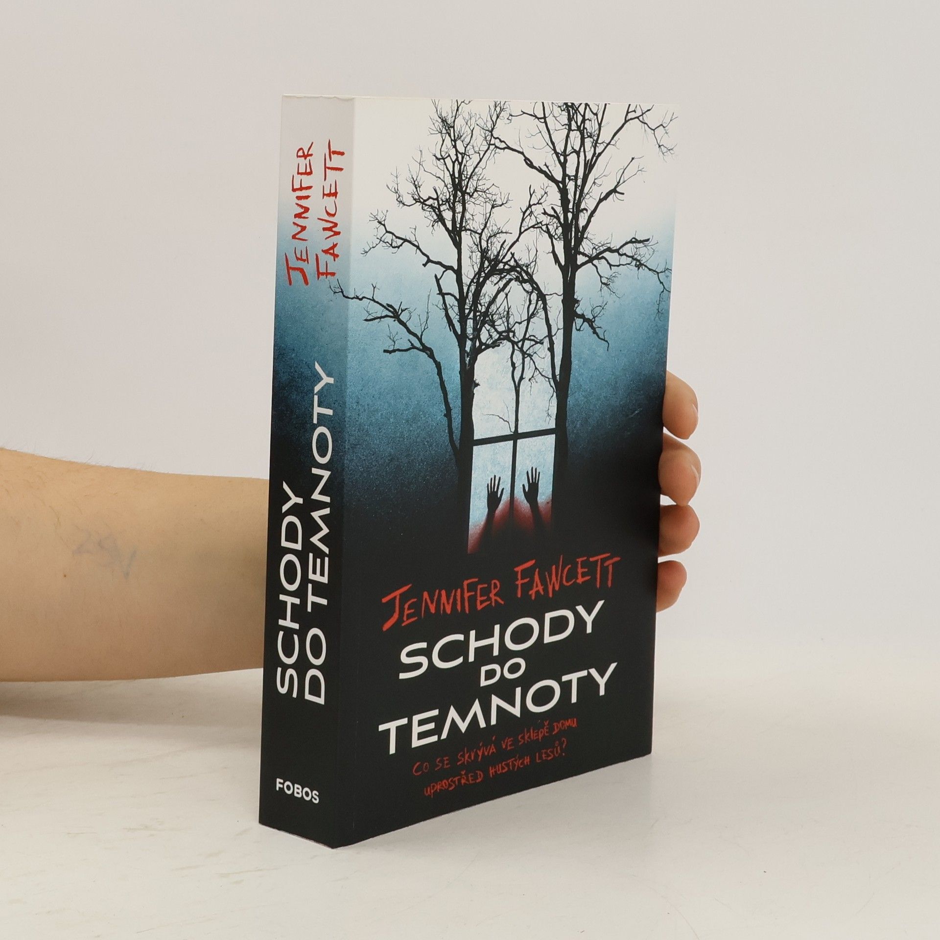 Jennifer Fawcett Schody do temnoty
