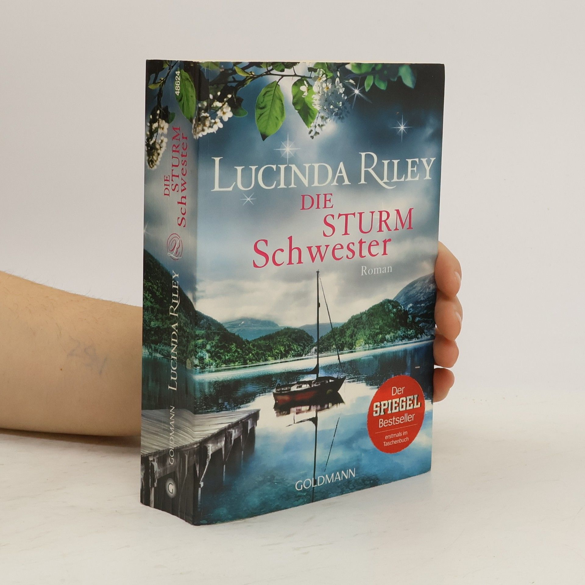 Lucinda Riley Die Sturmschwester