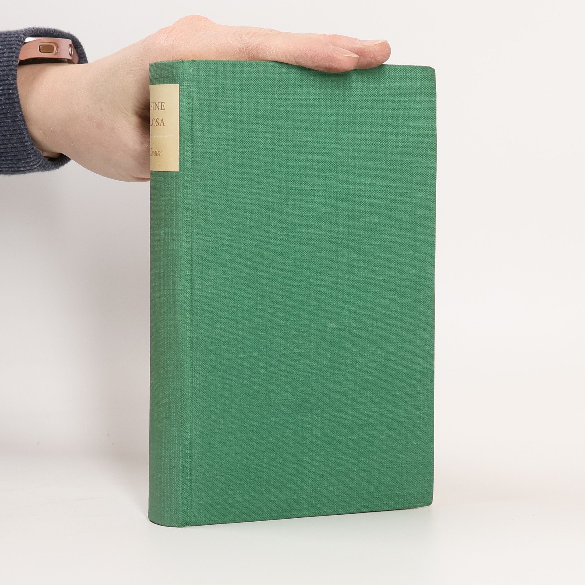 Heinrich Heine Prosaerzählungen