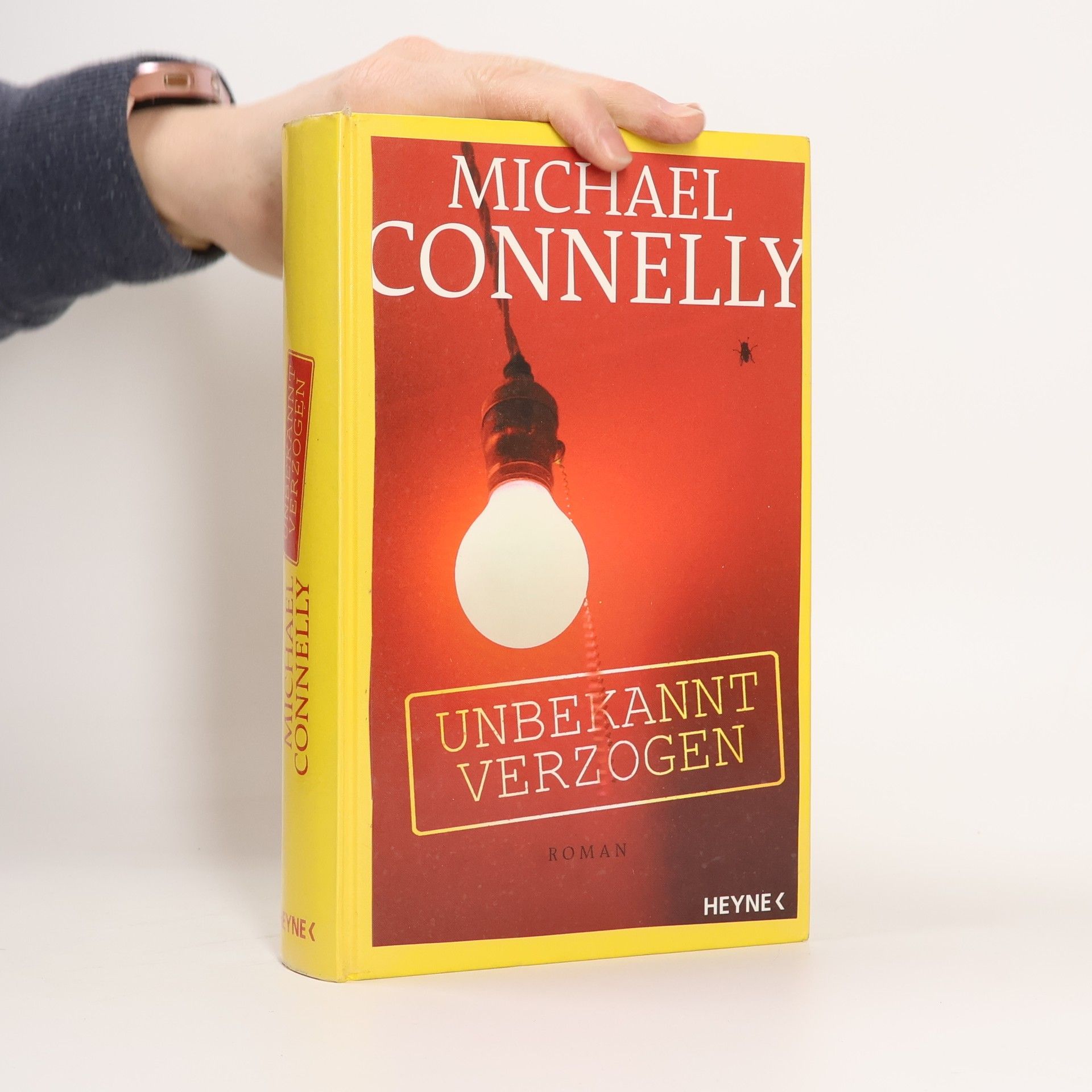 Rudolf Grass Die Alternative