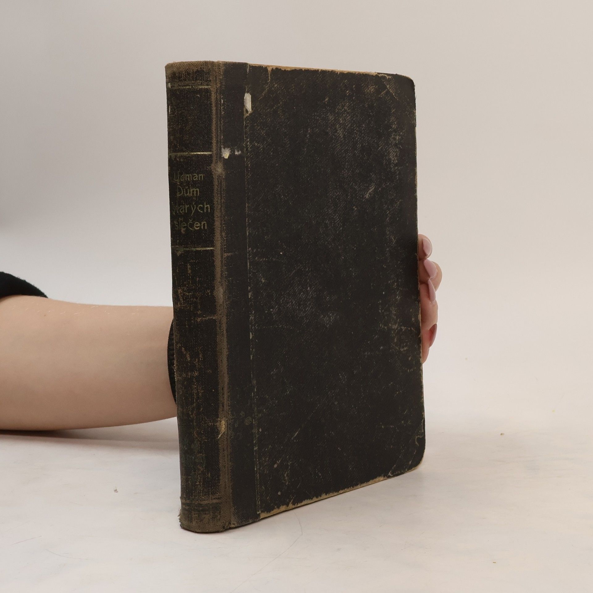 Sven Lidman Dům starých slečen