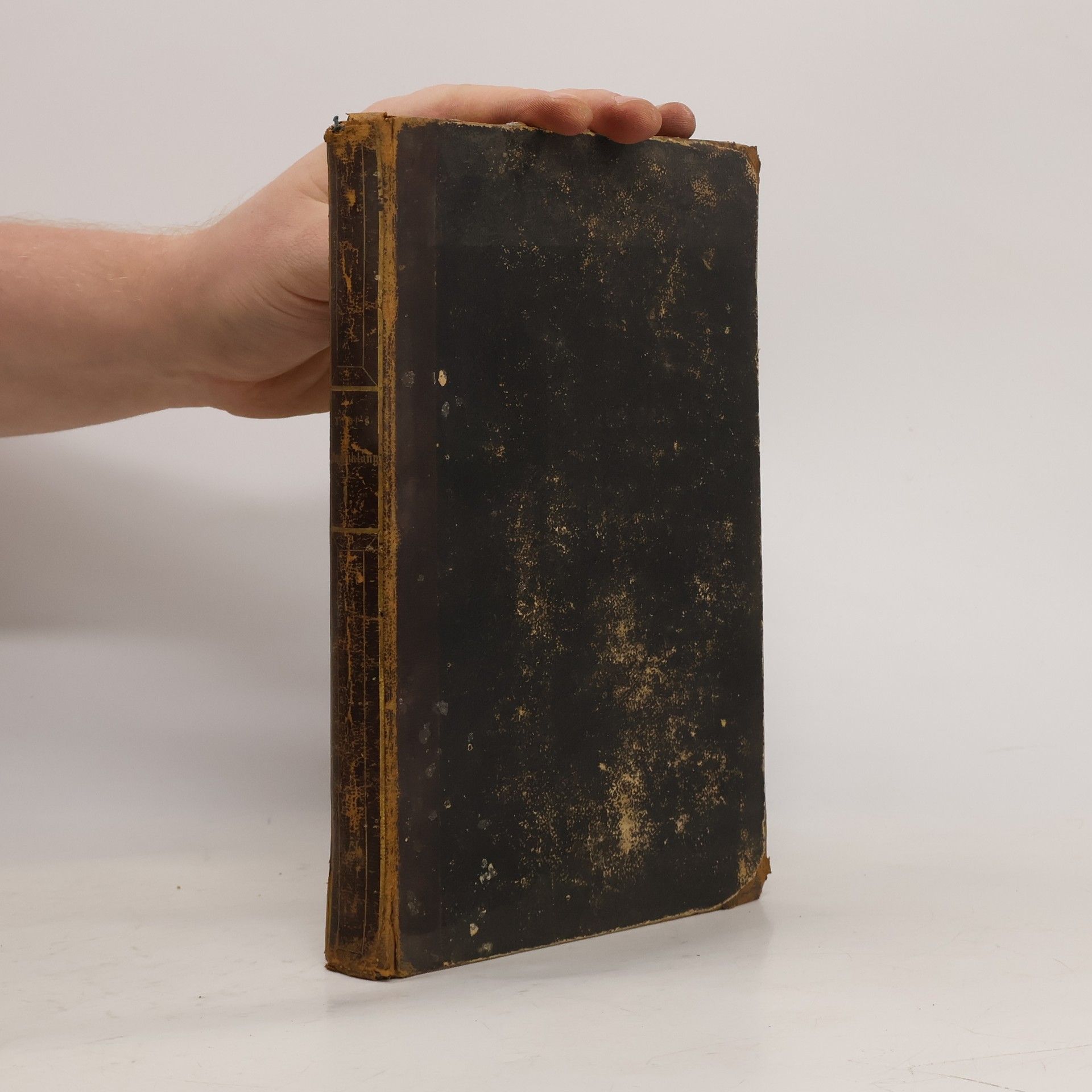 Morgenklange Aus Gottes Wort