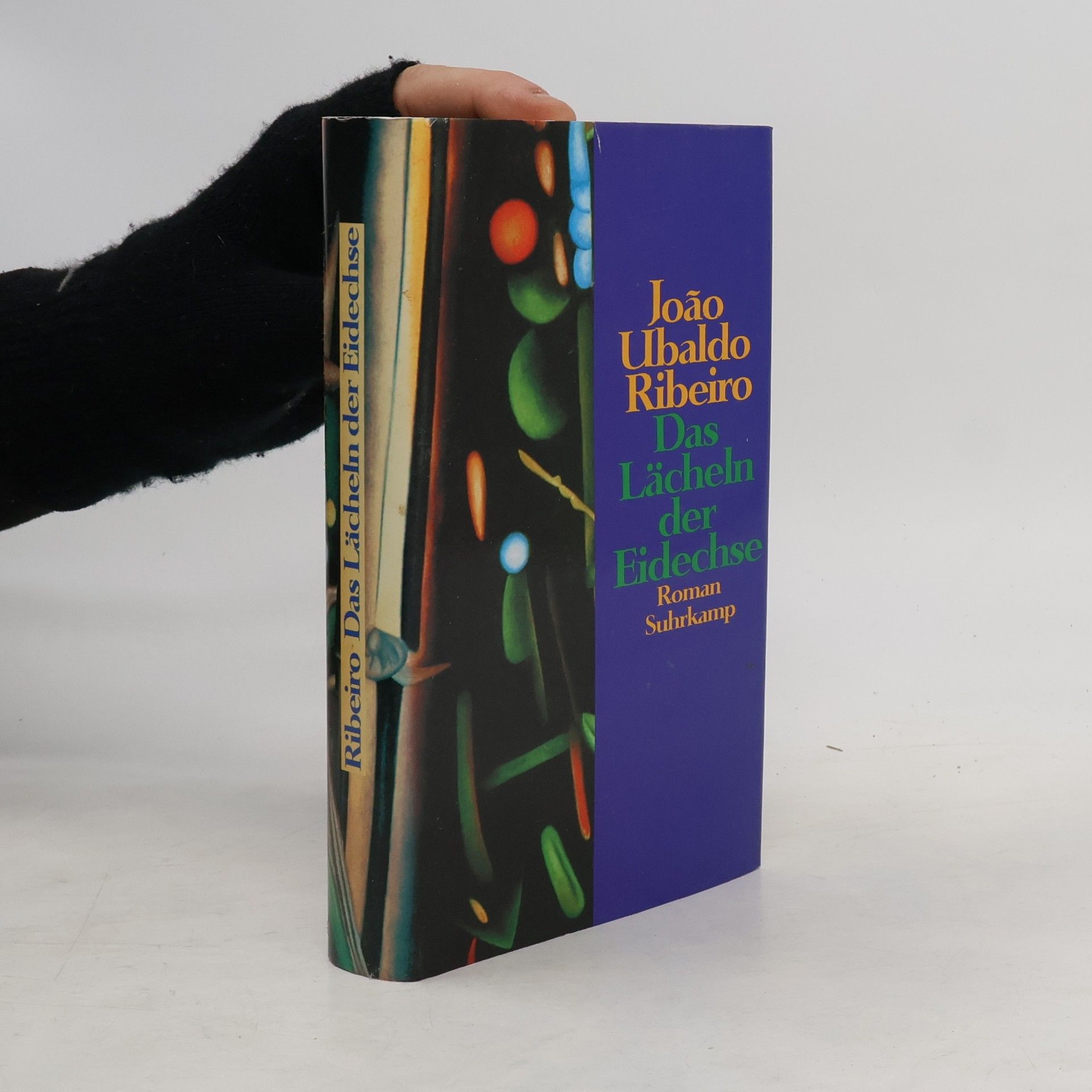 João Ubaldo Ribeiro Das Lächeln der Eidechse