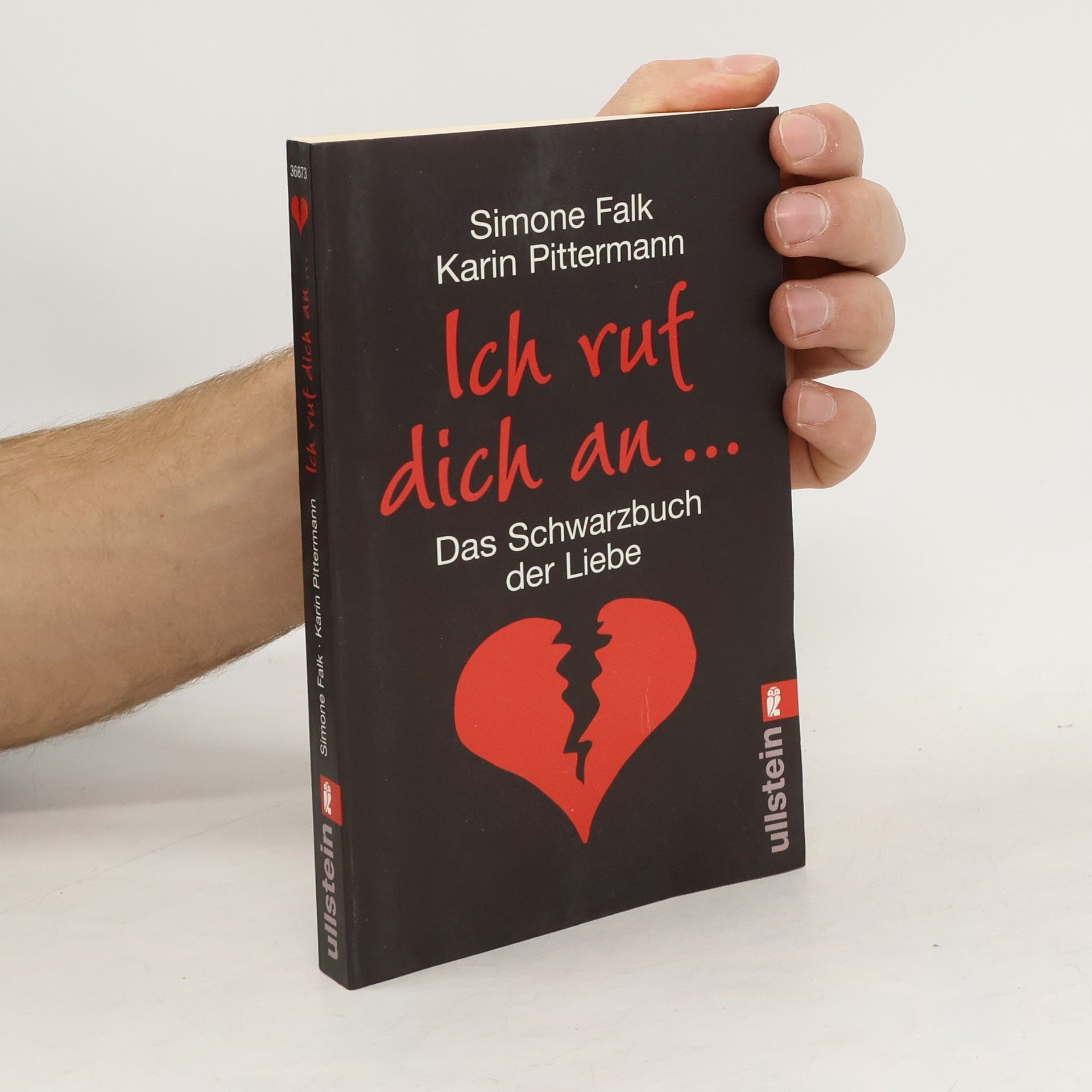 Simone Falk Ich ruf dich an ...