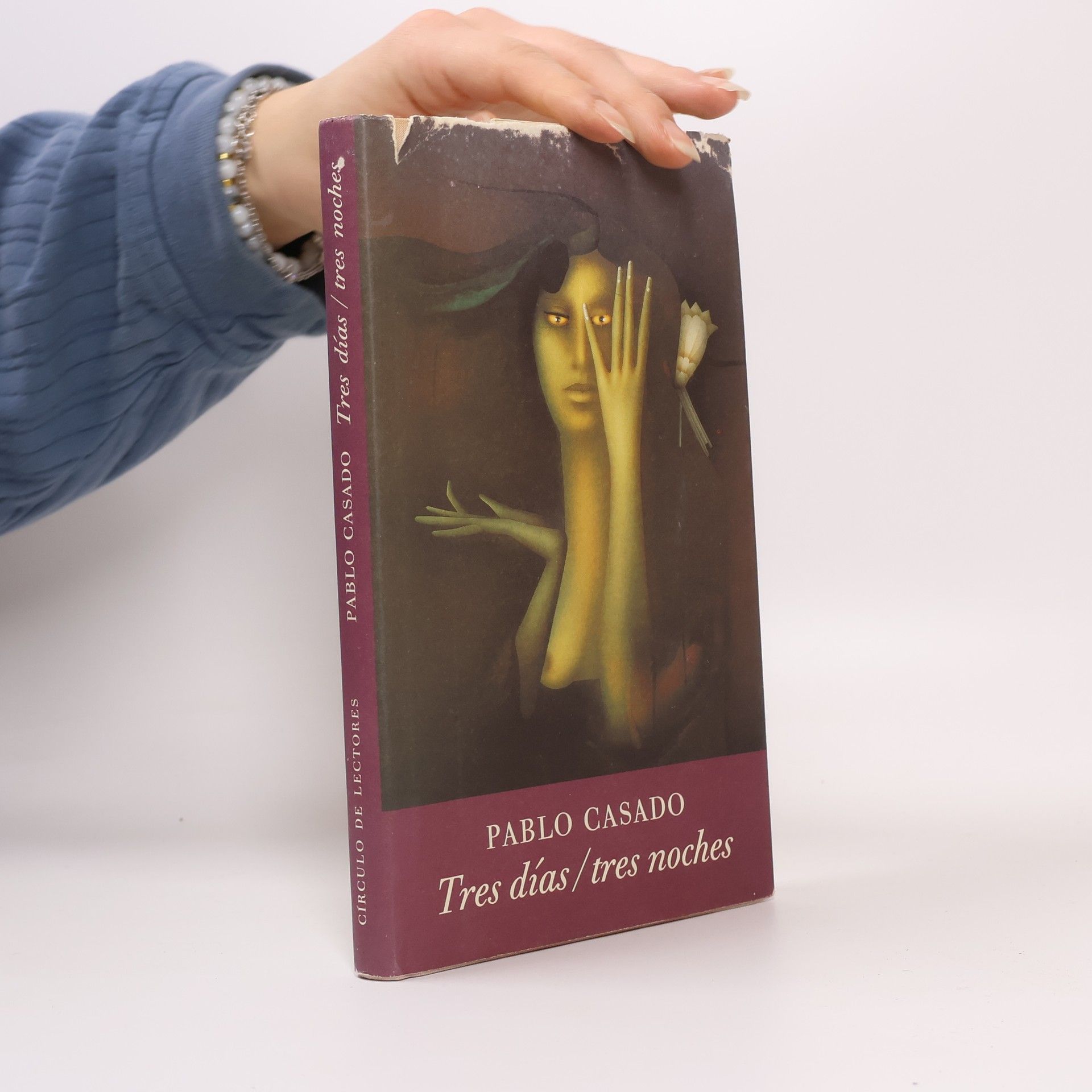 Pablo Casado Tres días / tres noches