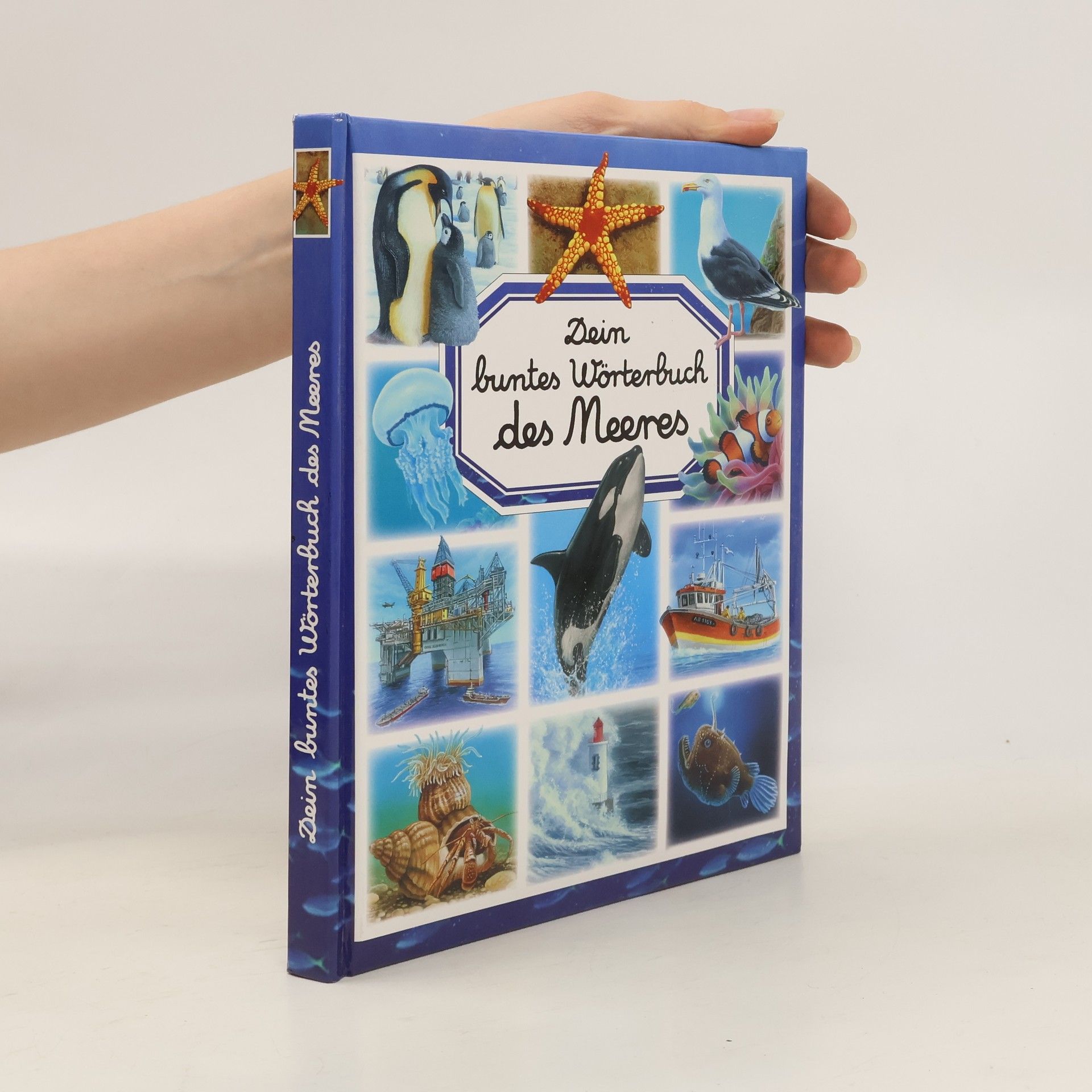 Dein buntes Wörterbuch des Meeres