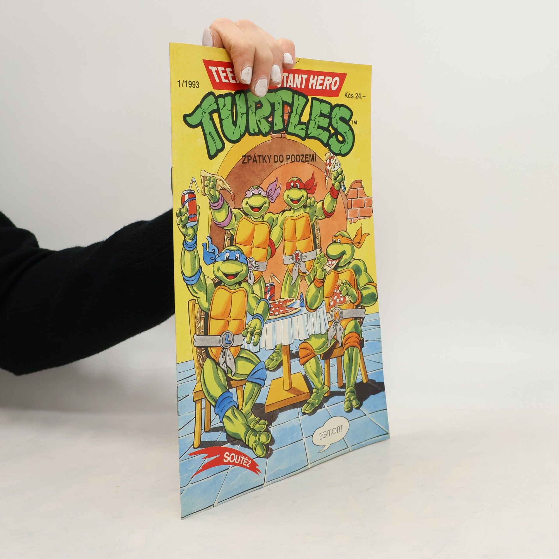 Teenage Mutant Hero Turtles #13