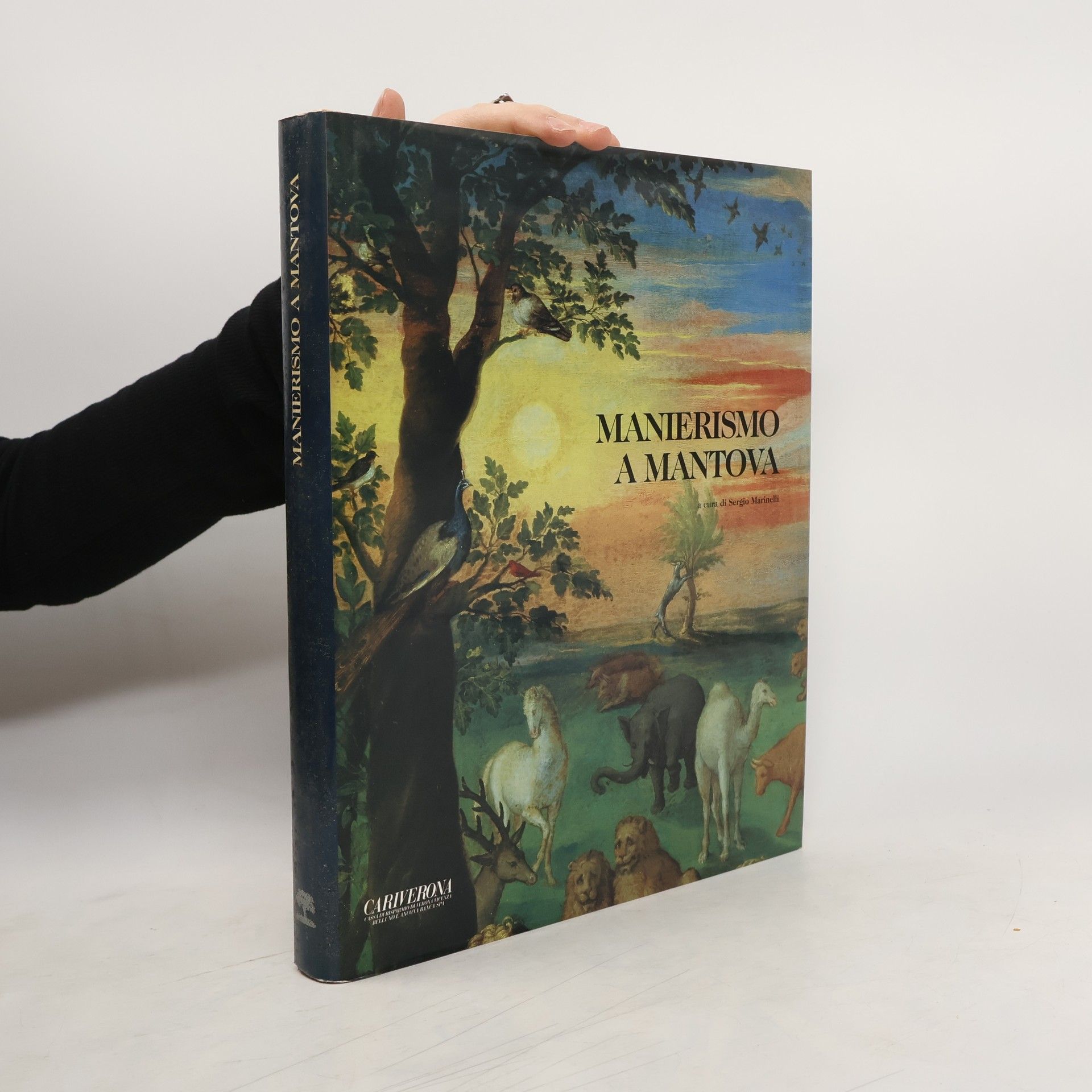 Manierismo a Mantova